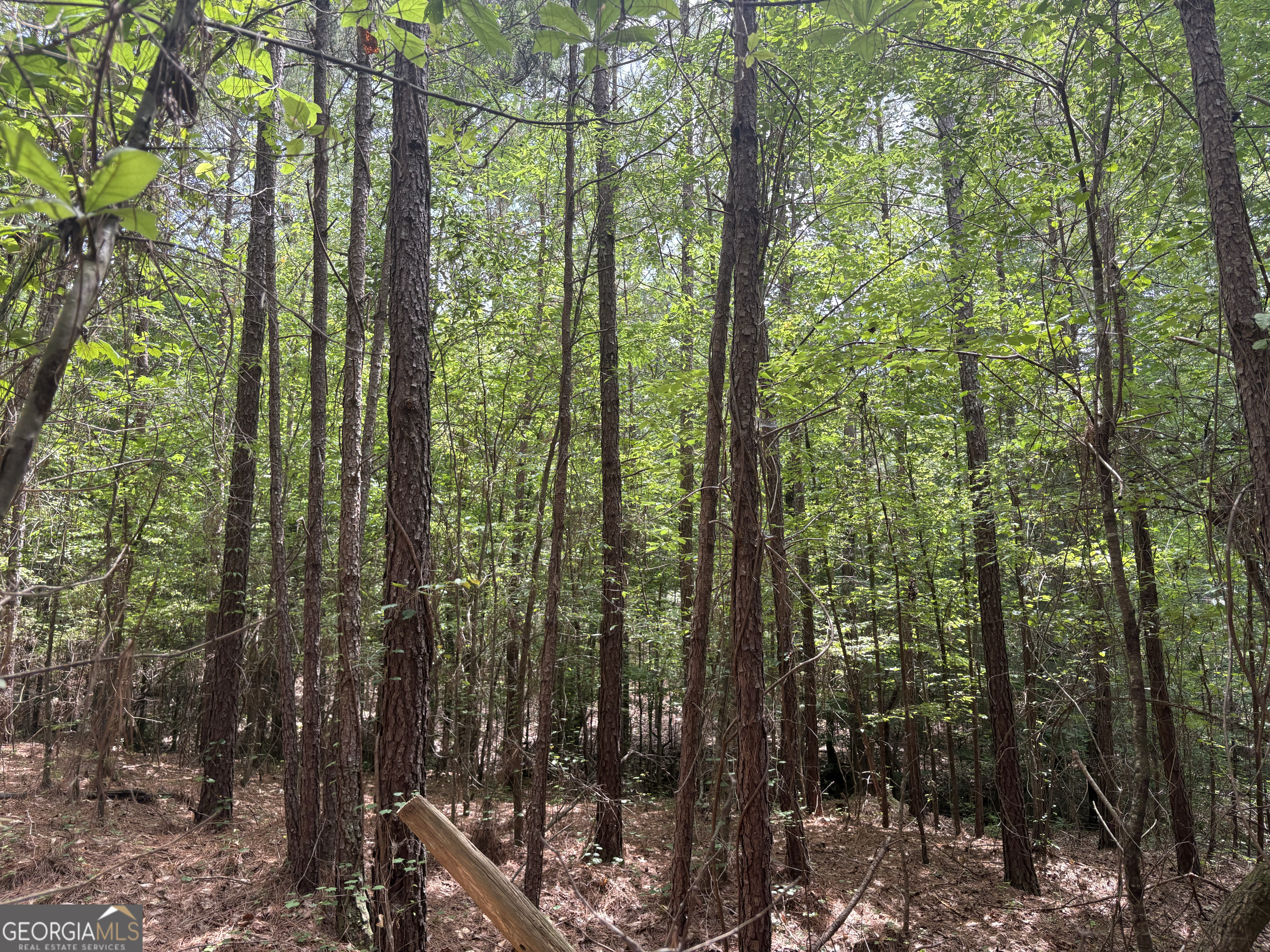 4 Callaway Road Tignall GA 30668