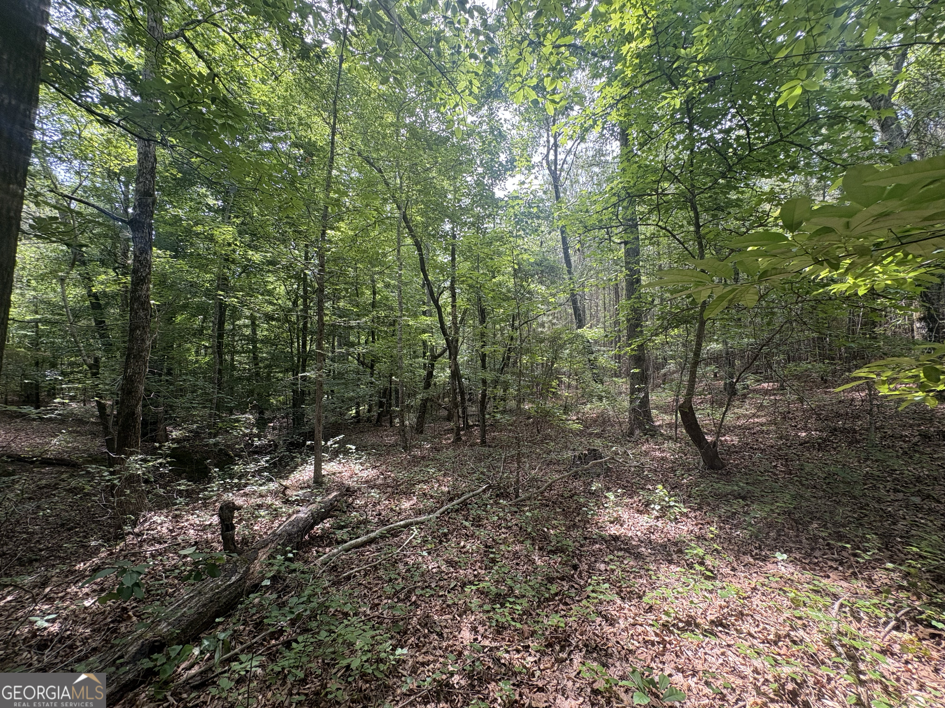 4 Callaway Road Tignall GA 30668