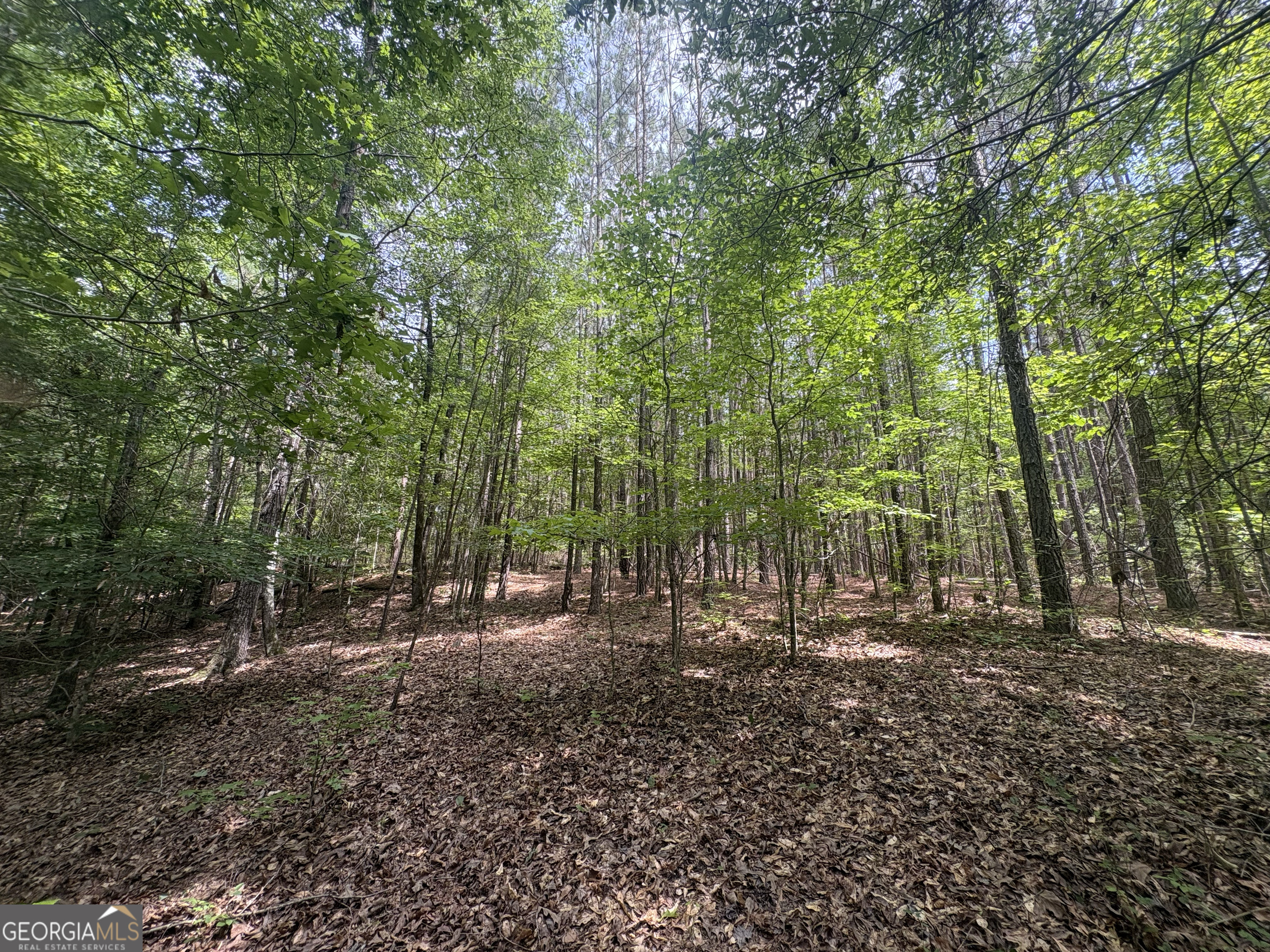4 Callaway Road Tignall GA 30668