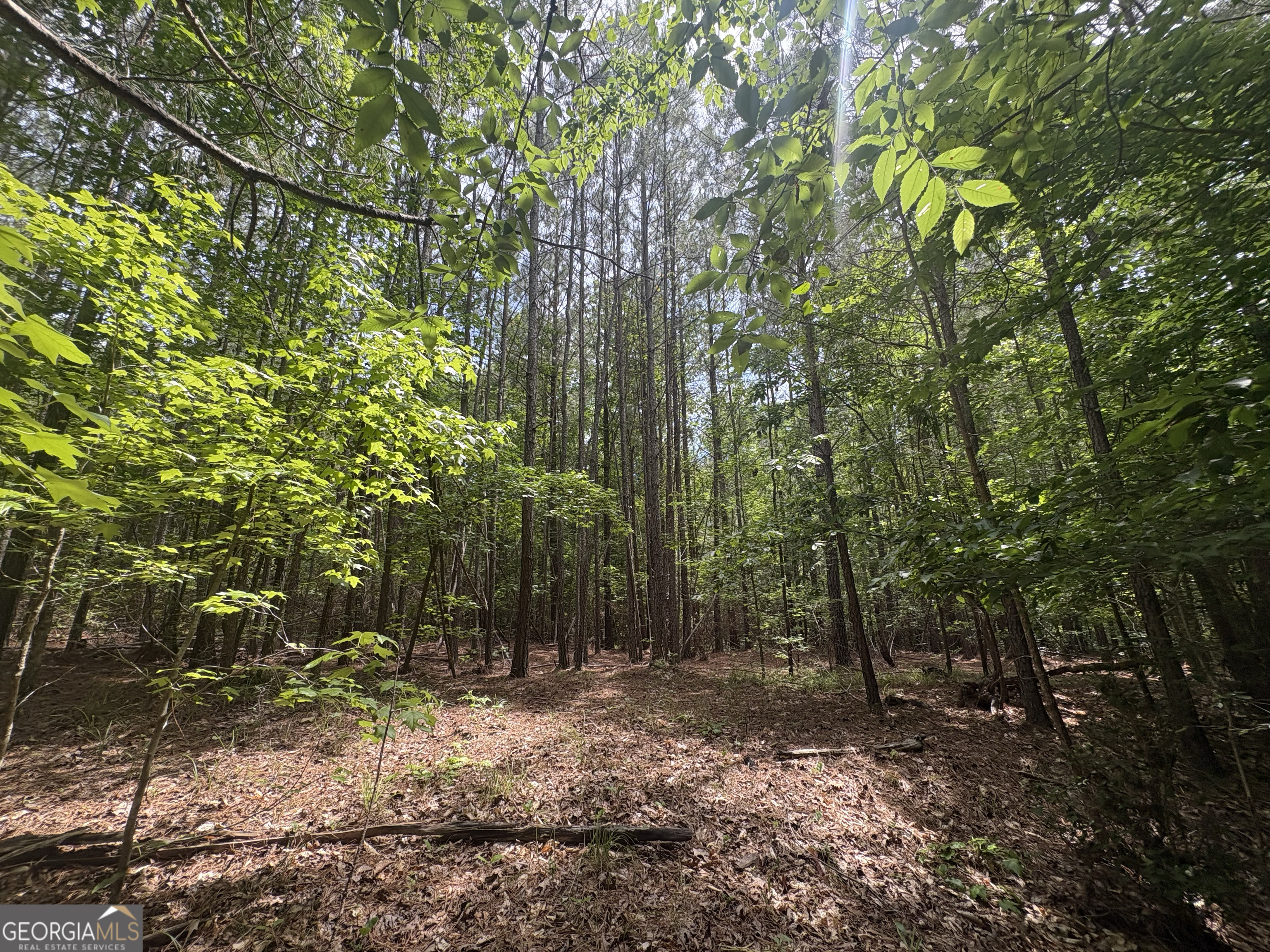 4 Callaway Road Tignall GA 30668