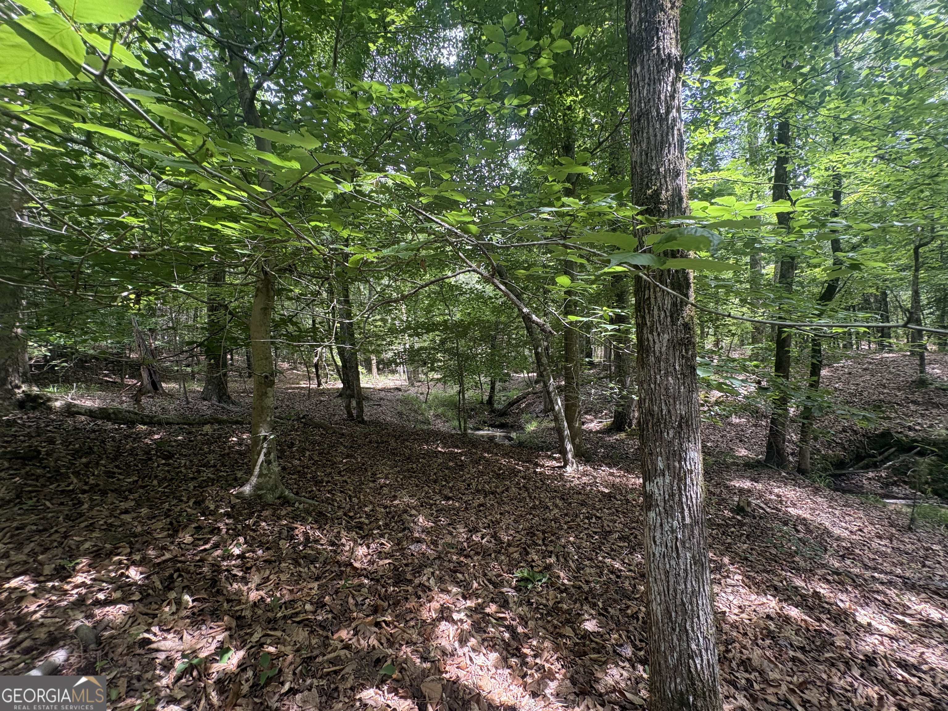 4 Callaway Road Tignall GA 30668