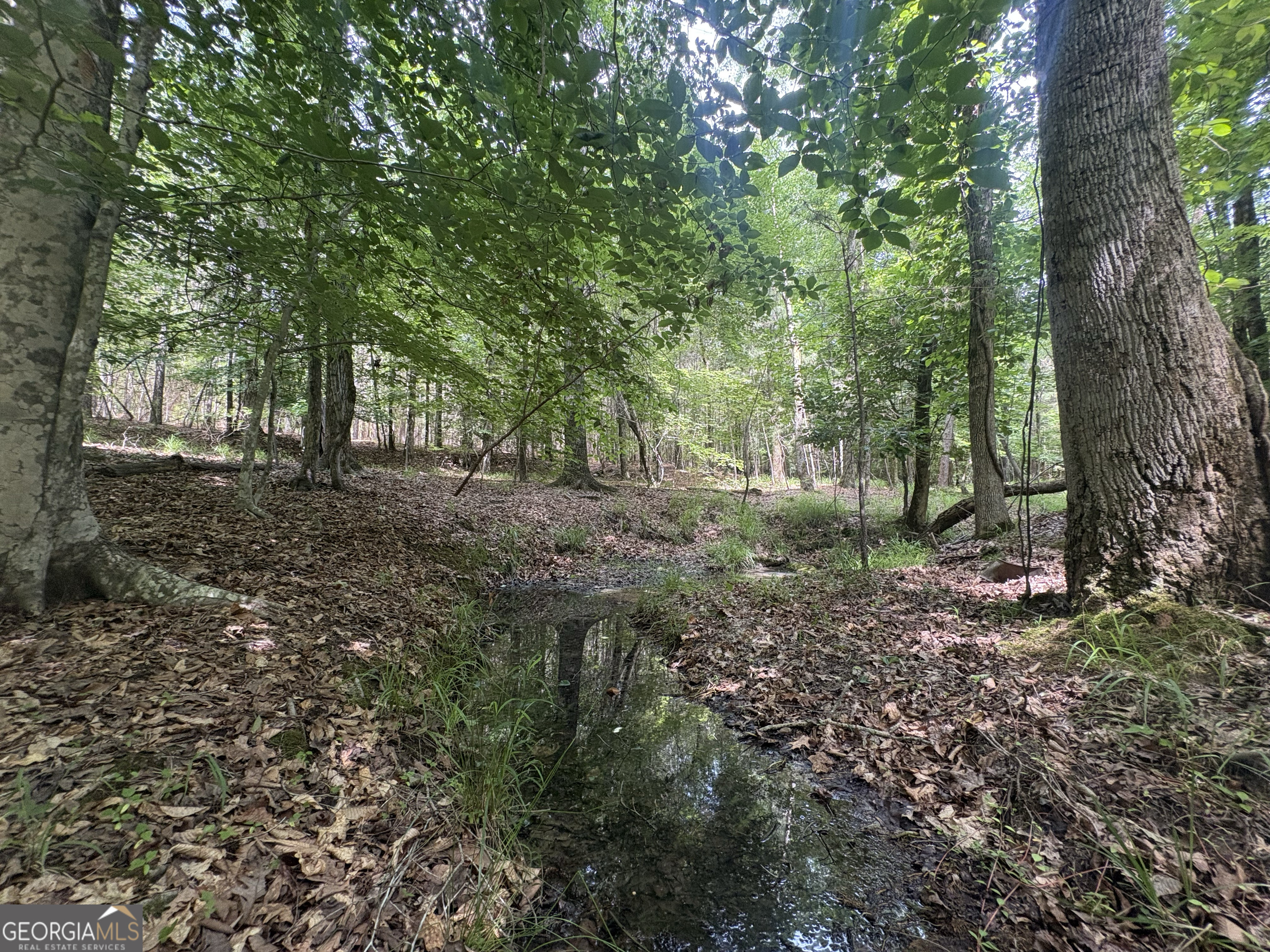 4 Callaway Road Tignall GA 30668