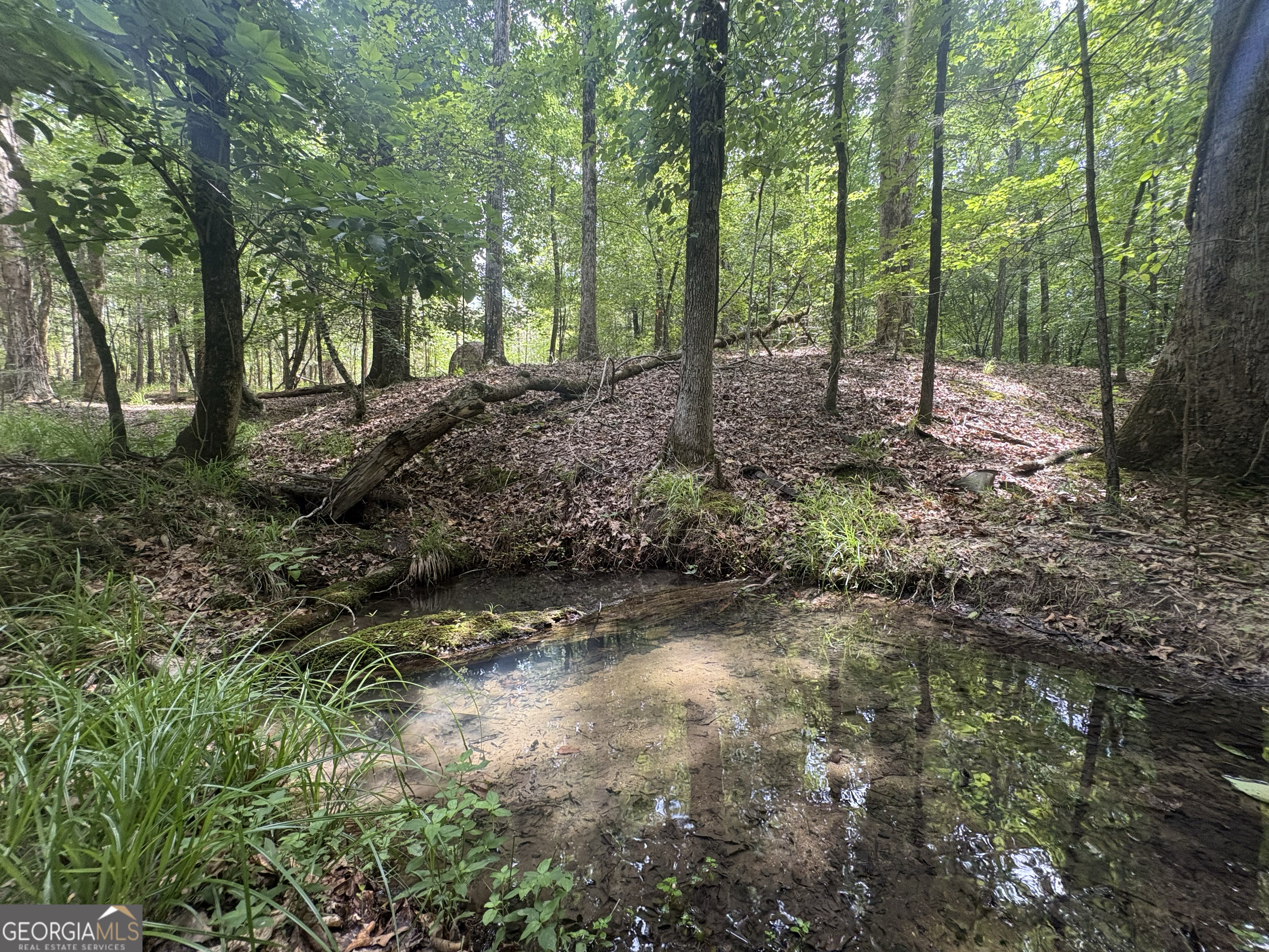 4 Callaway Road Tignall GA 30668