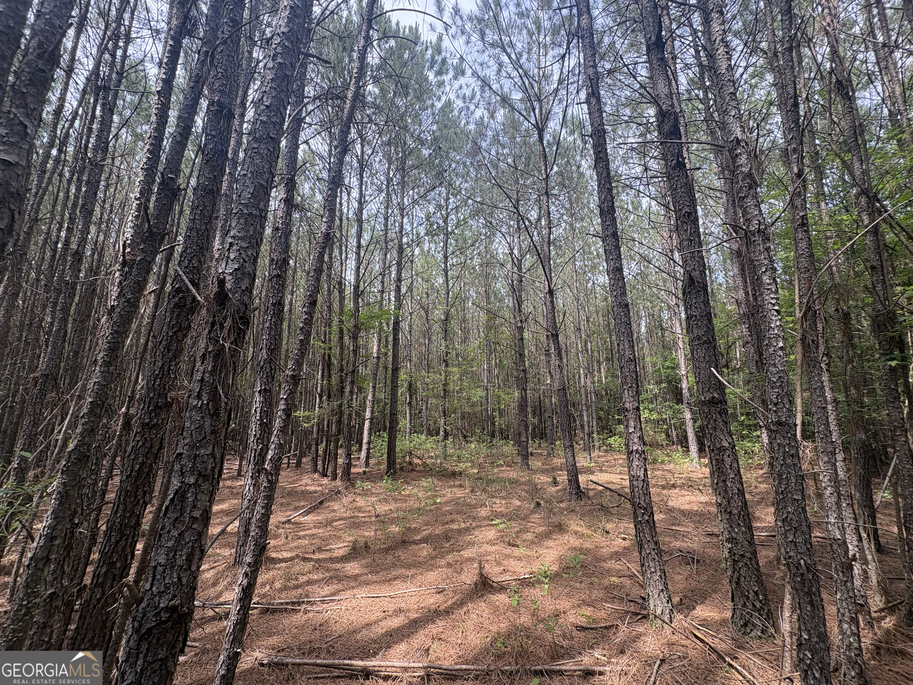 4 Callaway Road Tignall GA 30668