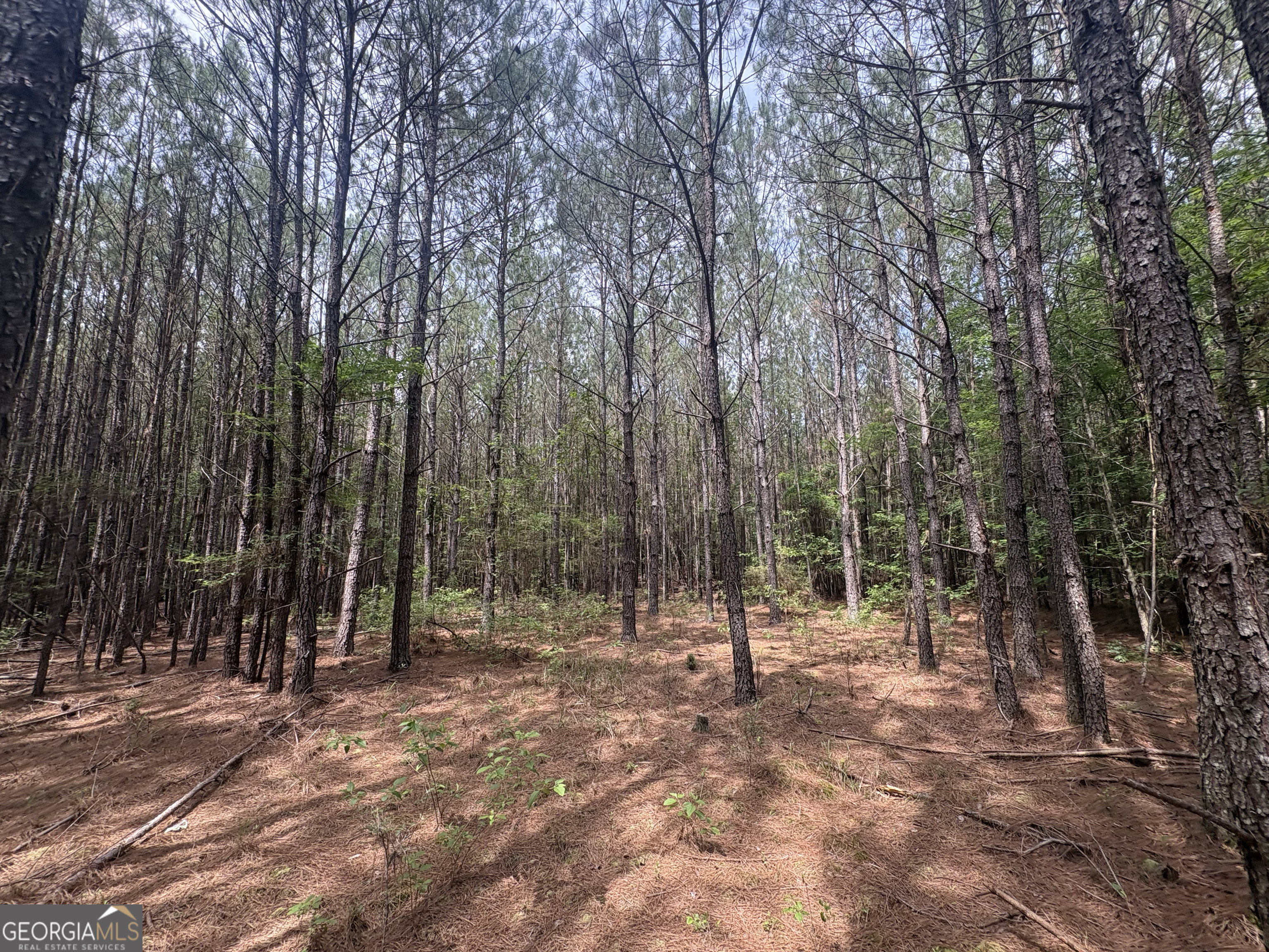 4 Callaway Road Tignall GA 30668