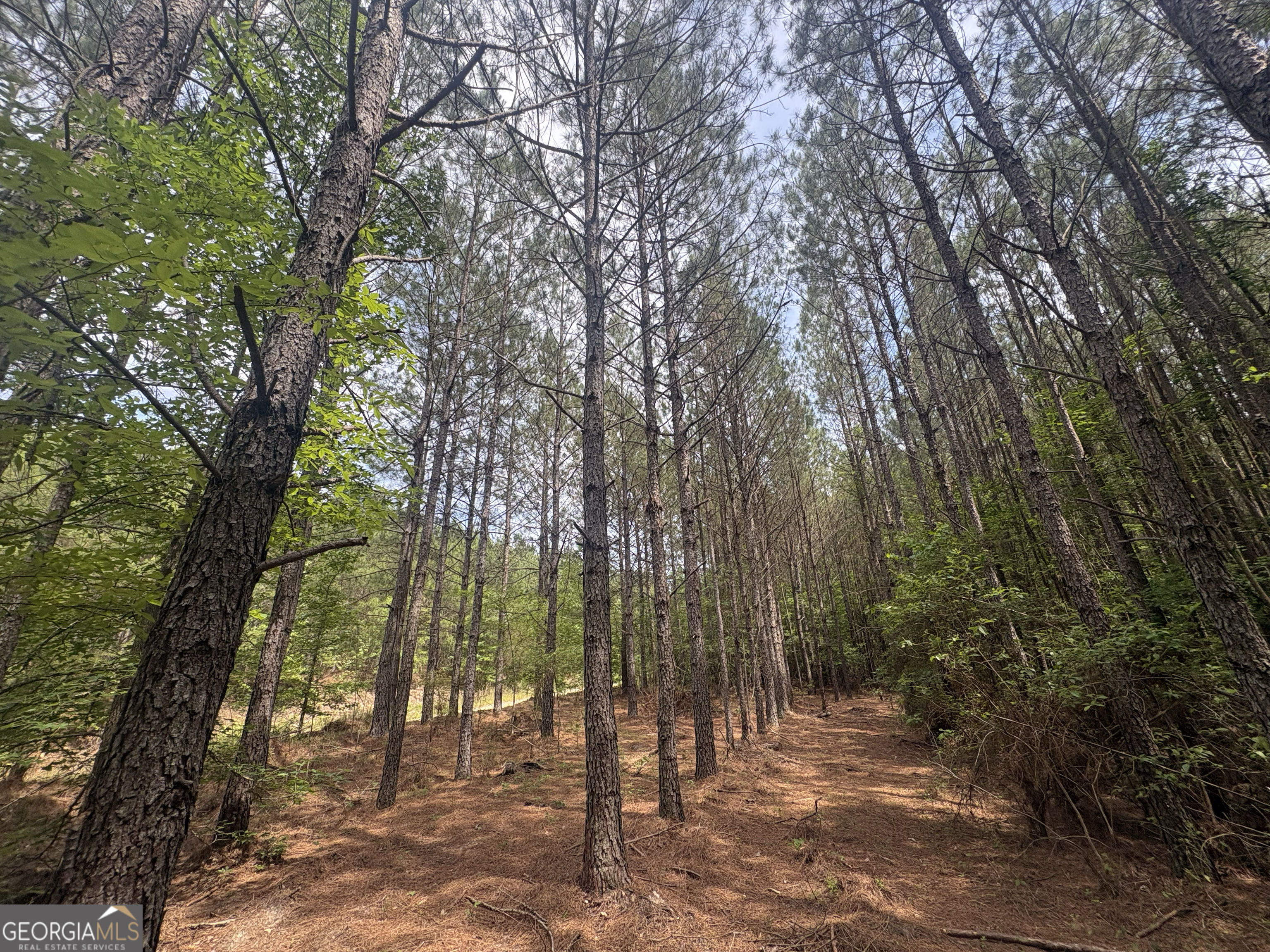 4 Callaway Road Tignall GA 30668