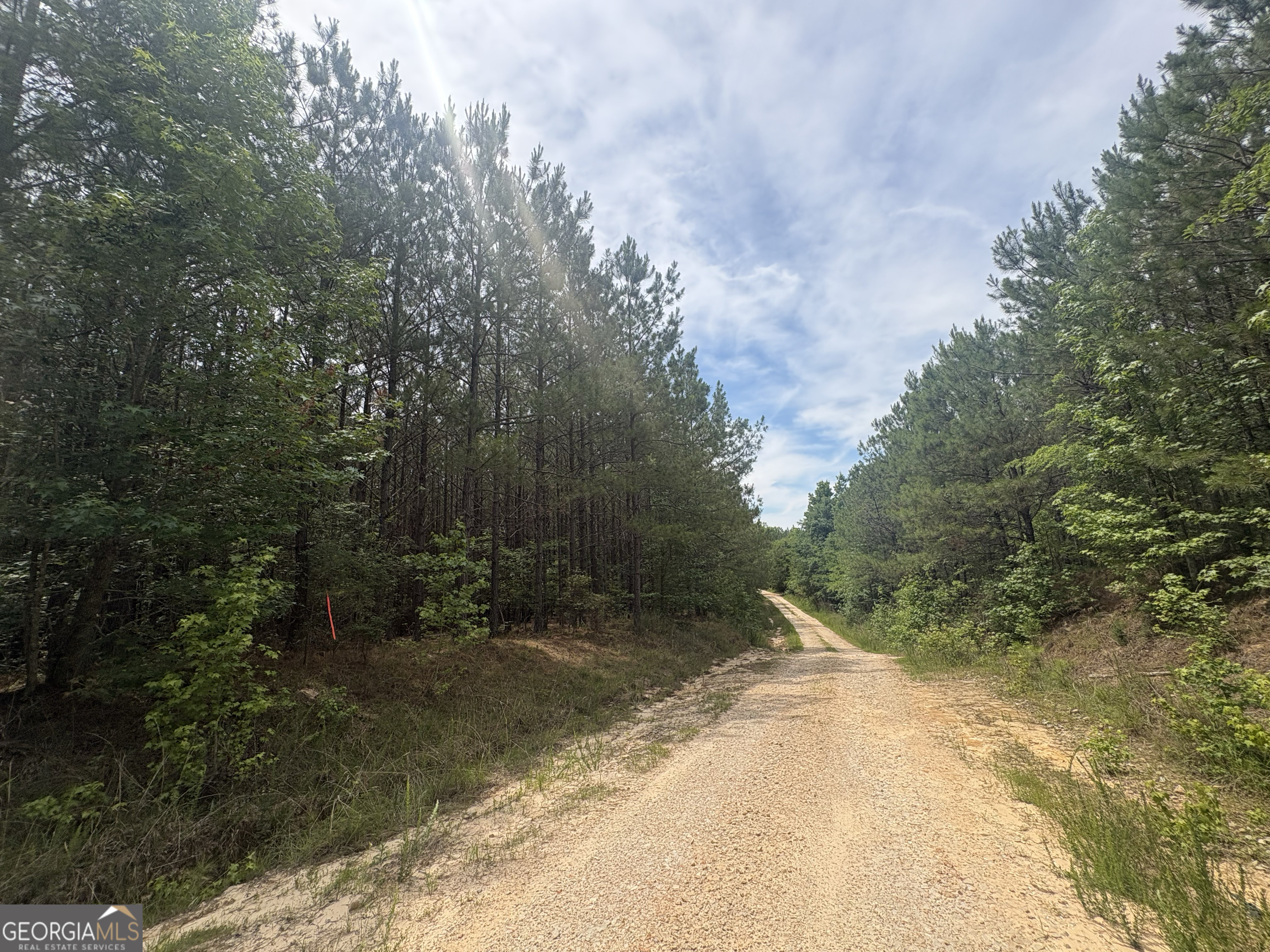 4 Callaway Road Tignall GA 30668