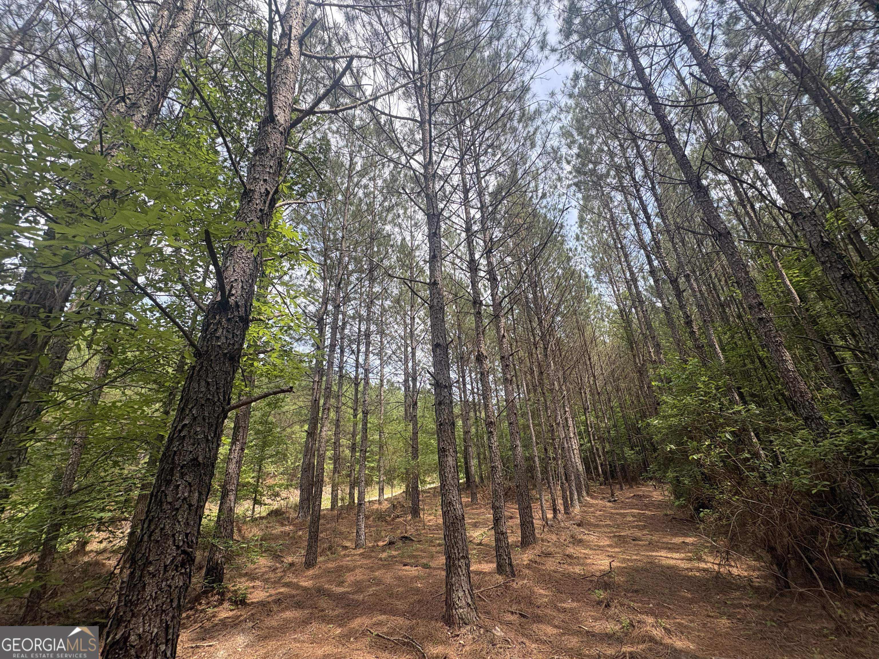 4 Callaway Road Tignall GA 30668