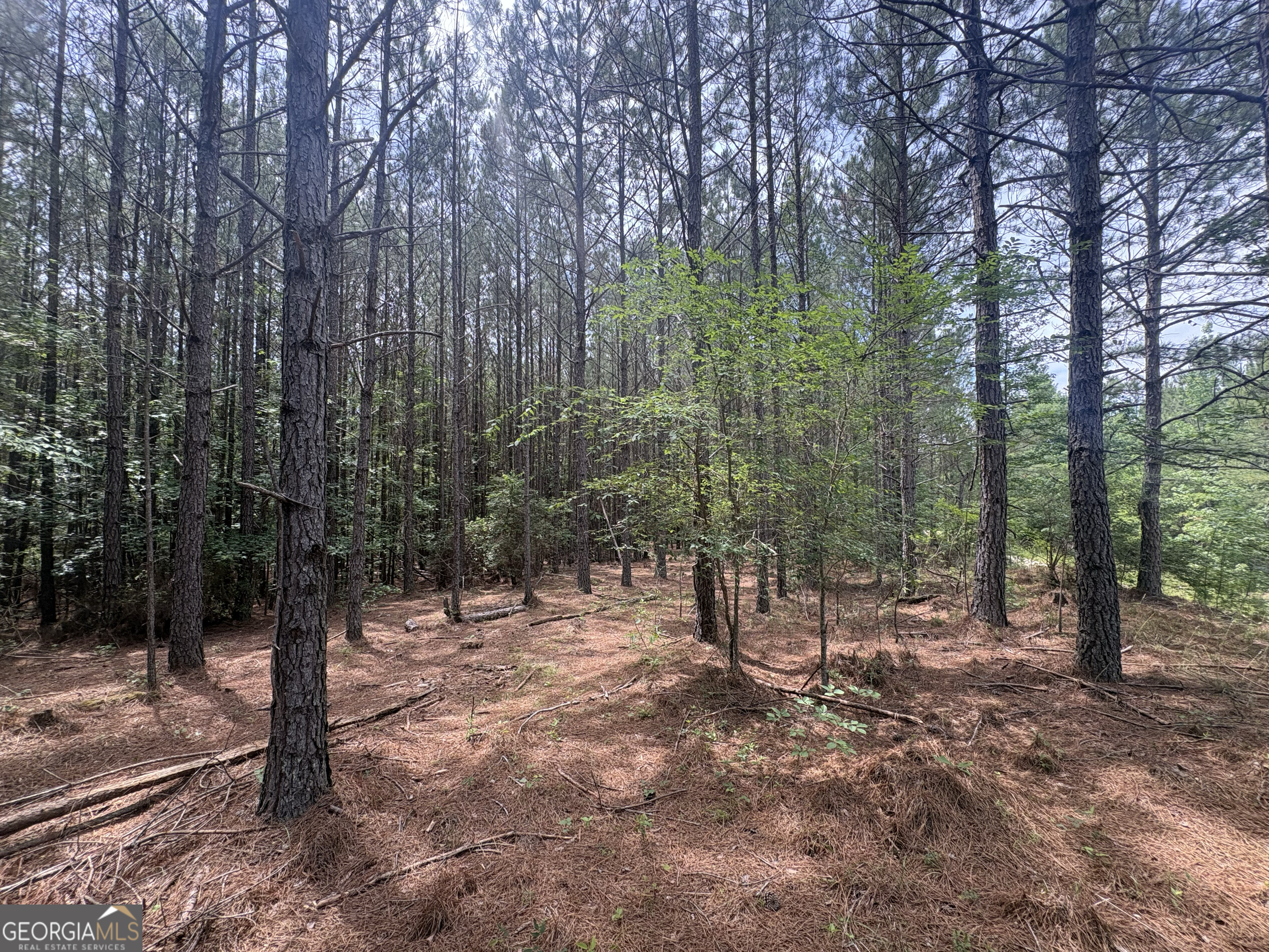 4 Callaway Road Tignall GA 30668