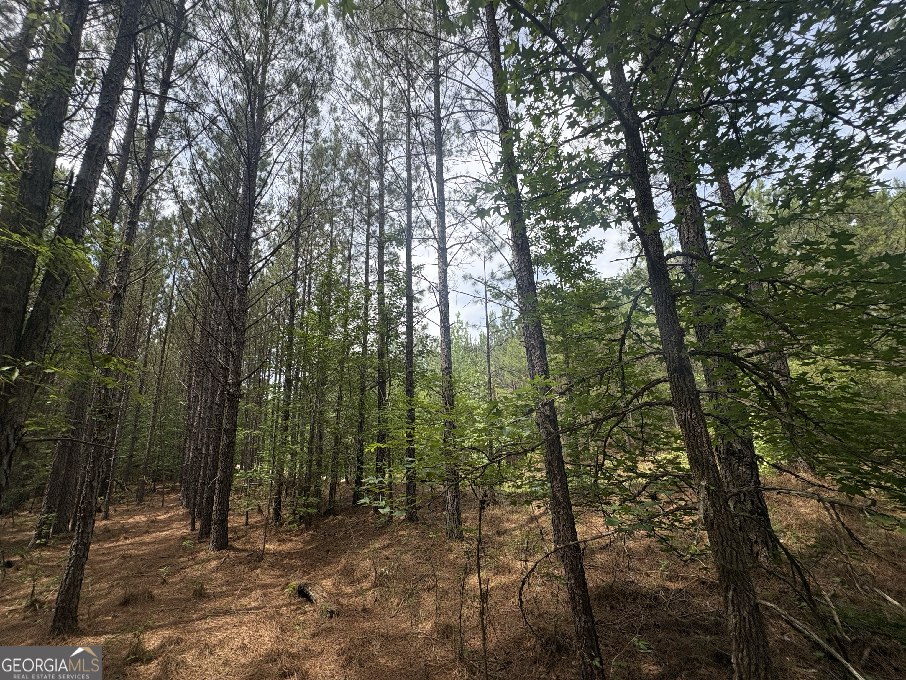 4 Callaway Road Tignall GA 30668