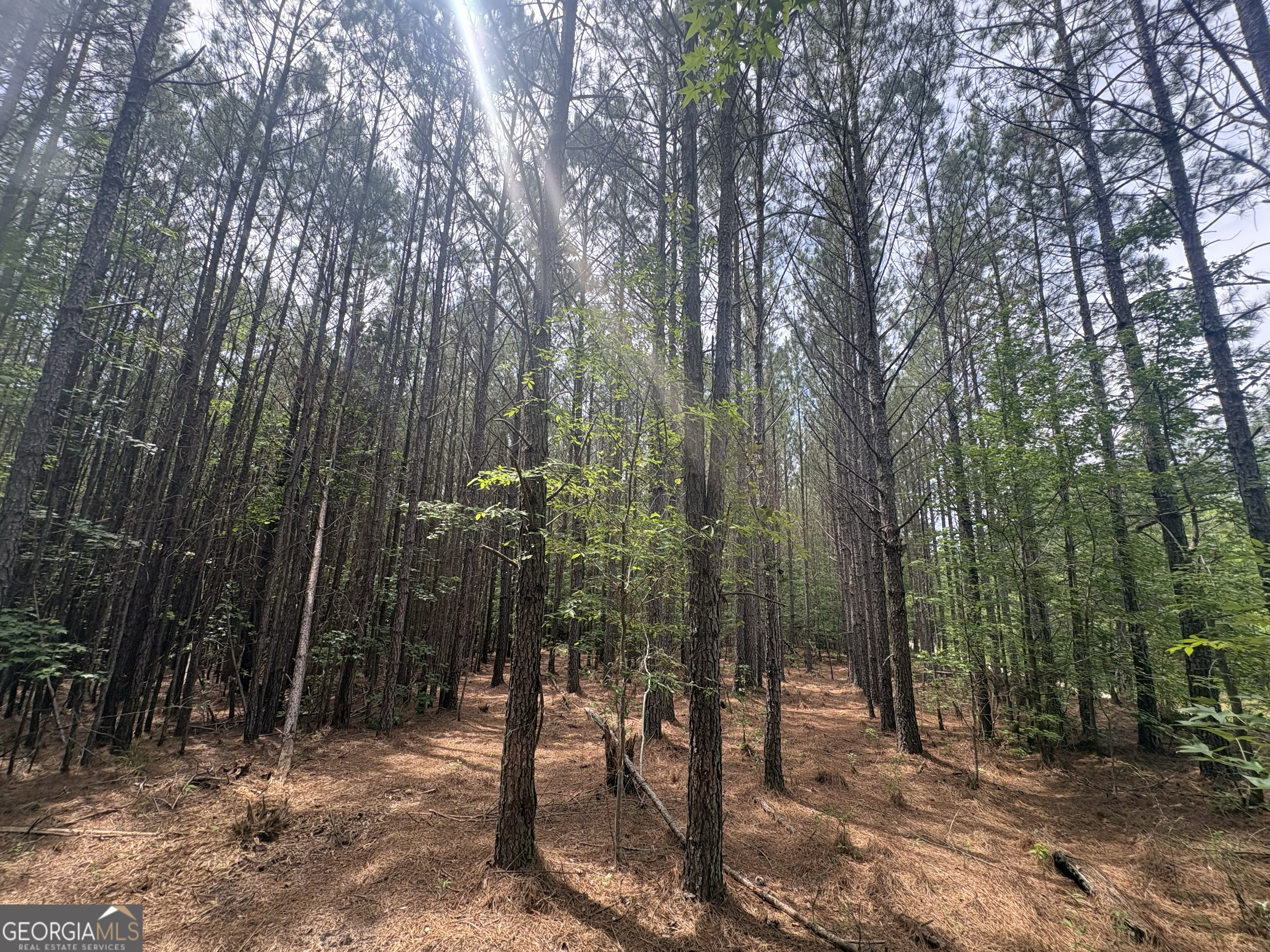 4 Callaway Road Tignall GA 30668