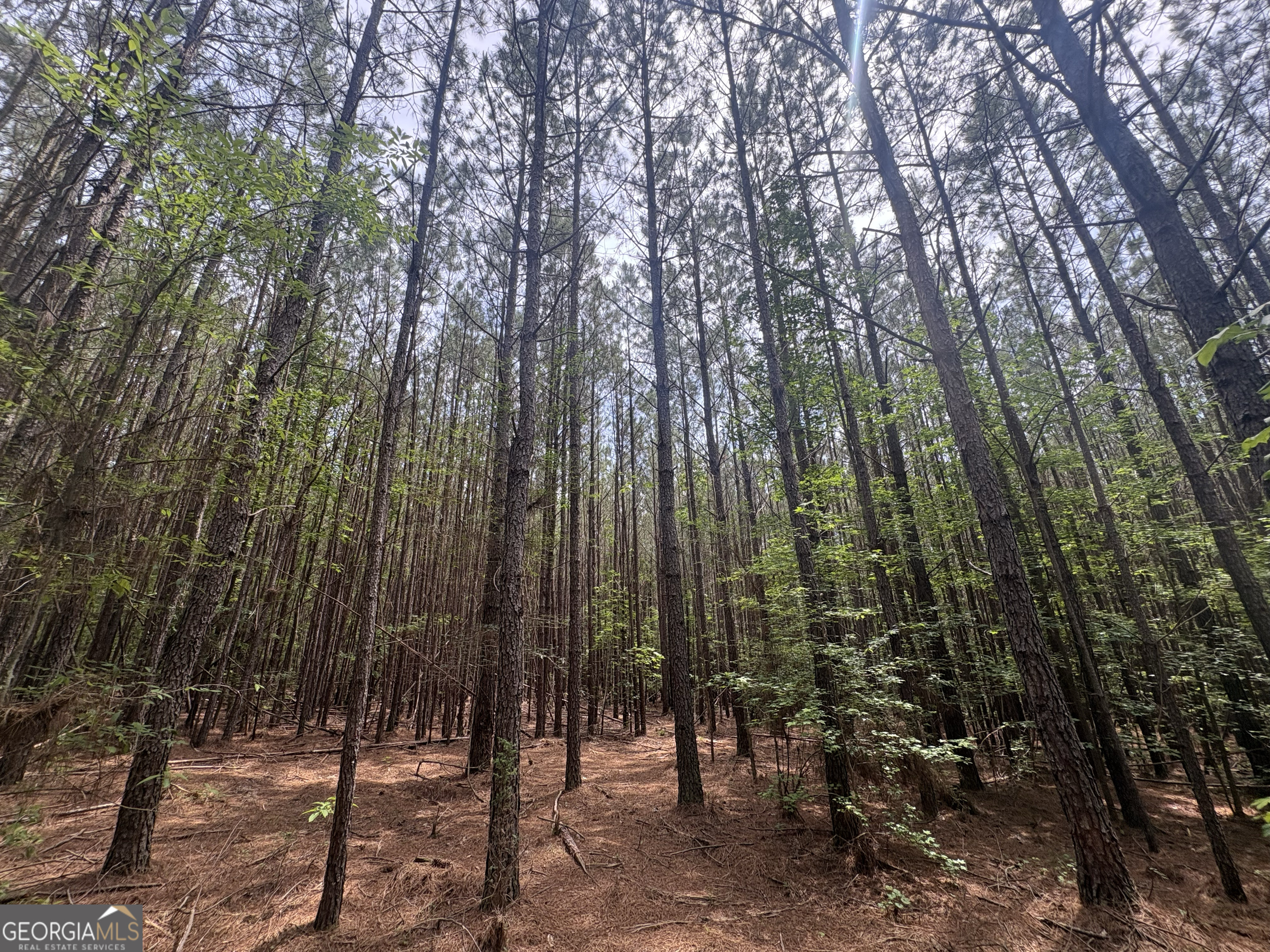 4 Callaway Road Tignall GA 30668