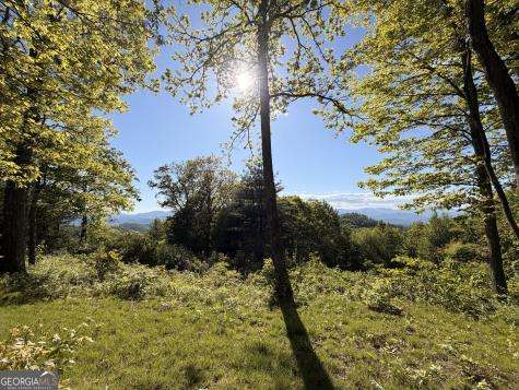 0 Rr 1622 Scaly Mountain NC 28775