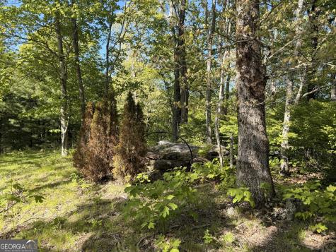 0 Rr 1622 Scaly Mountain NC 28775
