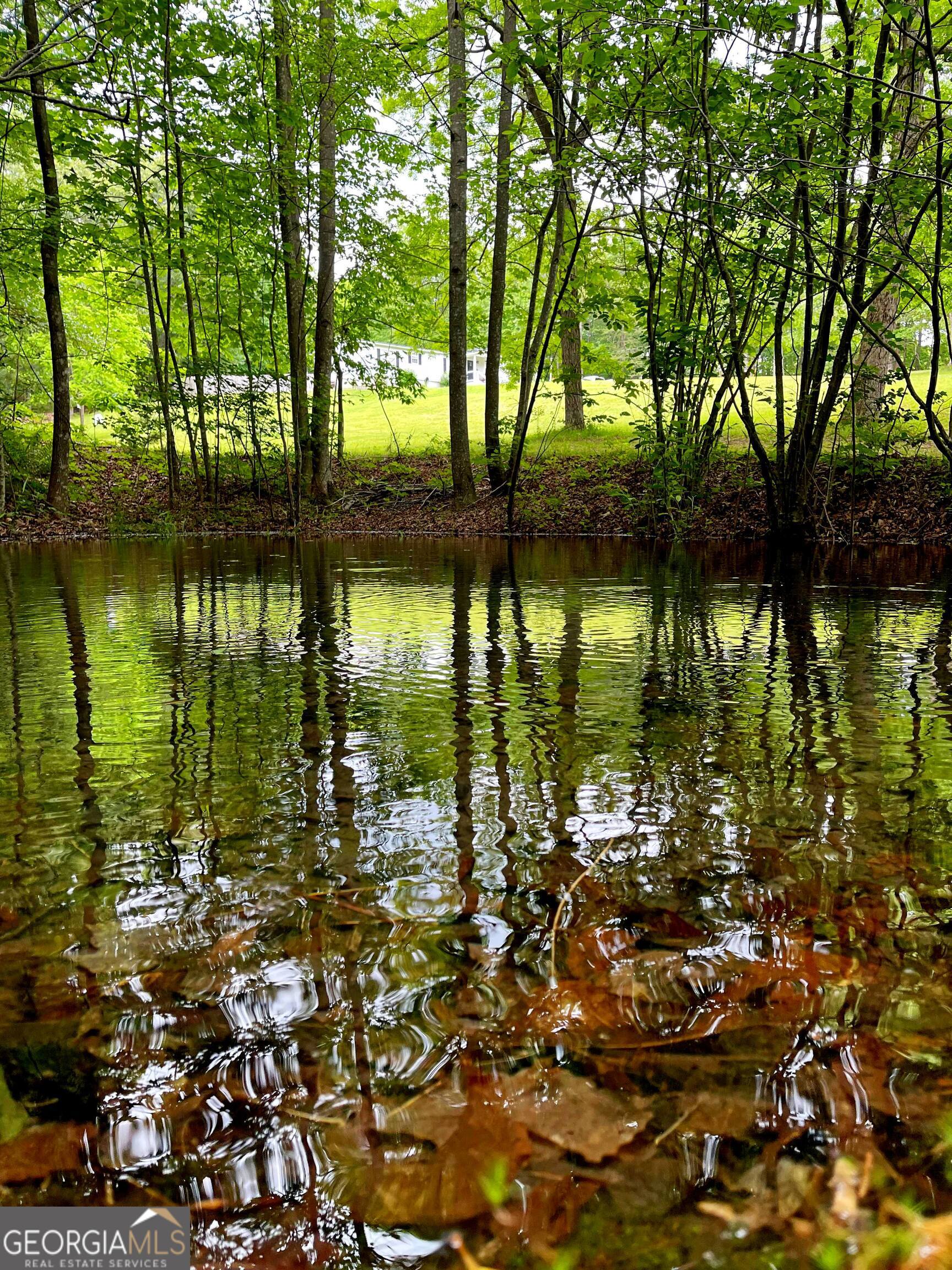 1994 Camp Creek Road Lakemont GA 30552