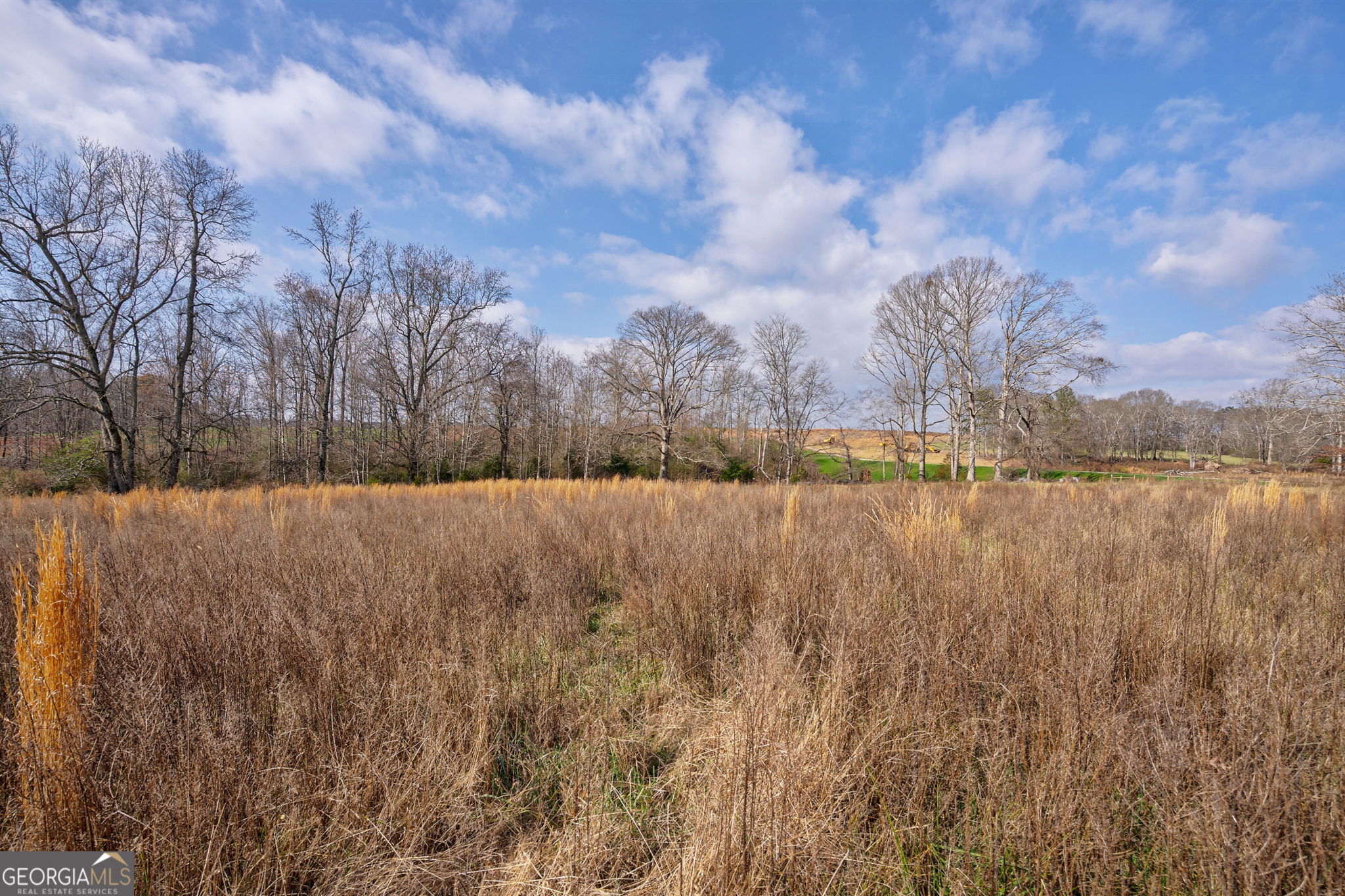 2528 Malcom Estates Drive Bogart GA 30622