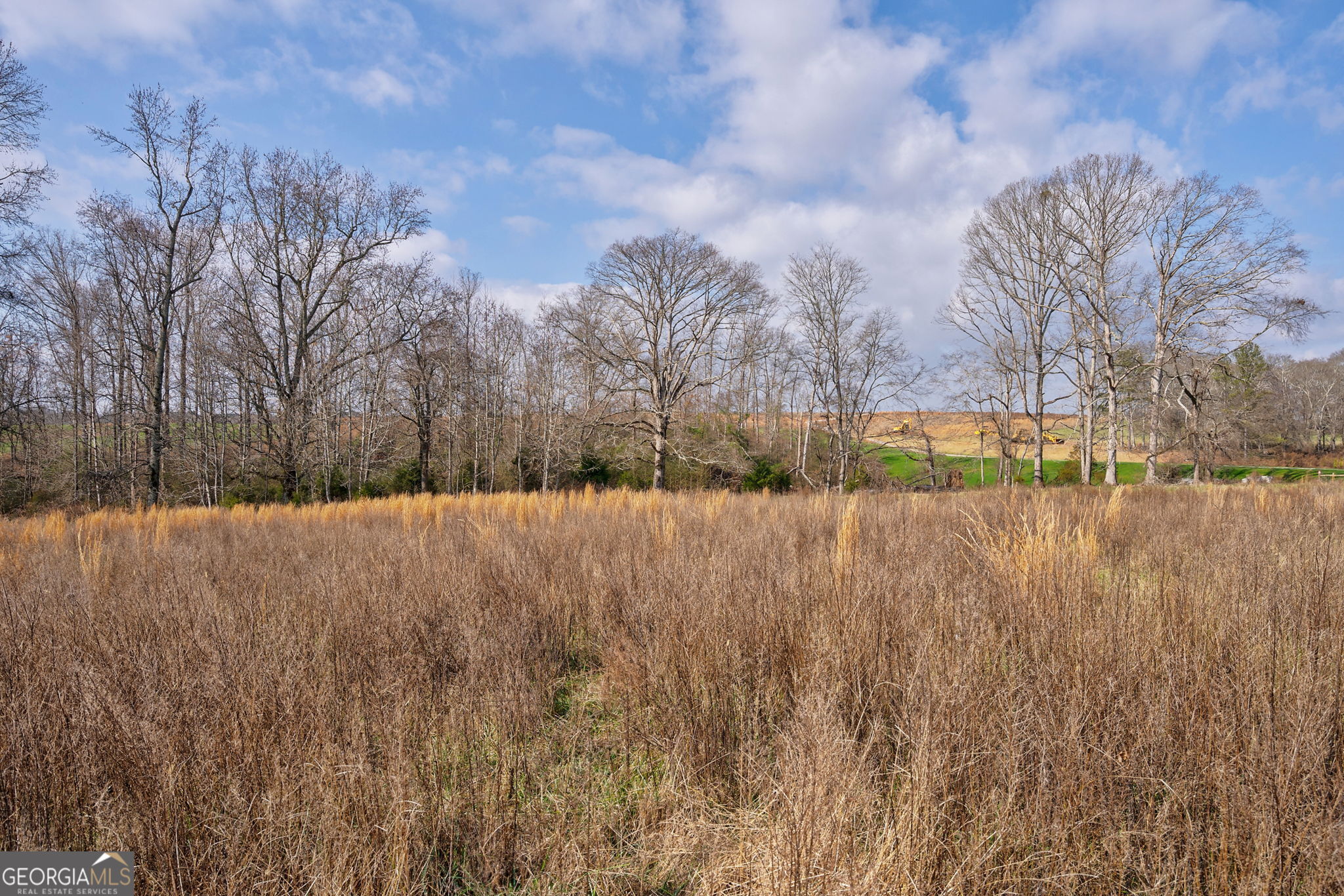2528 Malcom Estates Drive Bogart GA 30622
