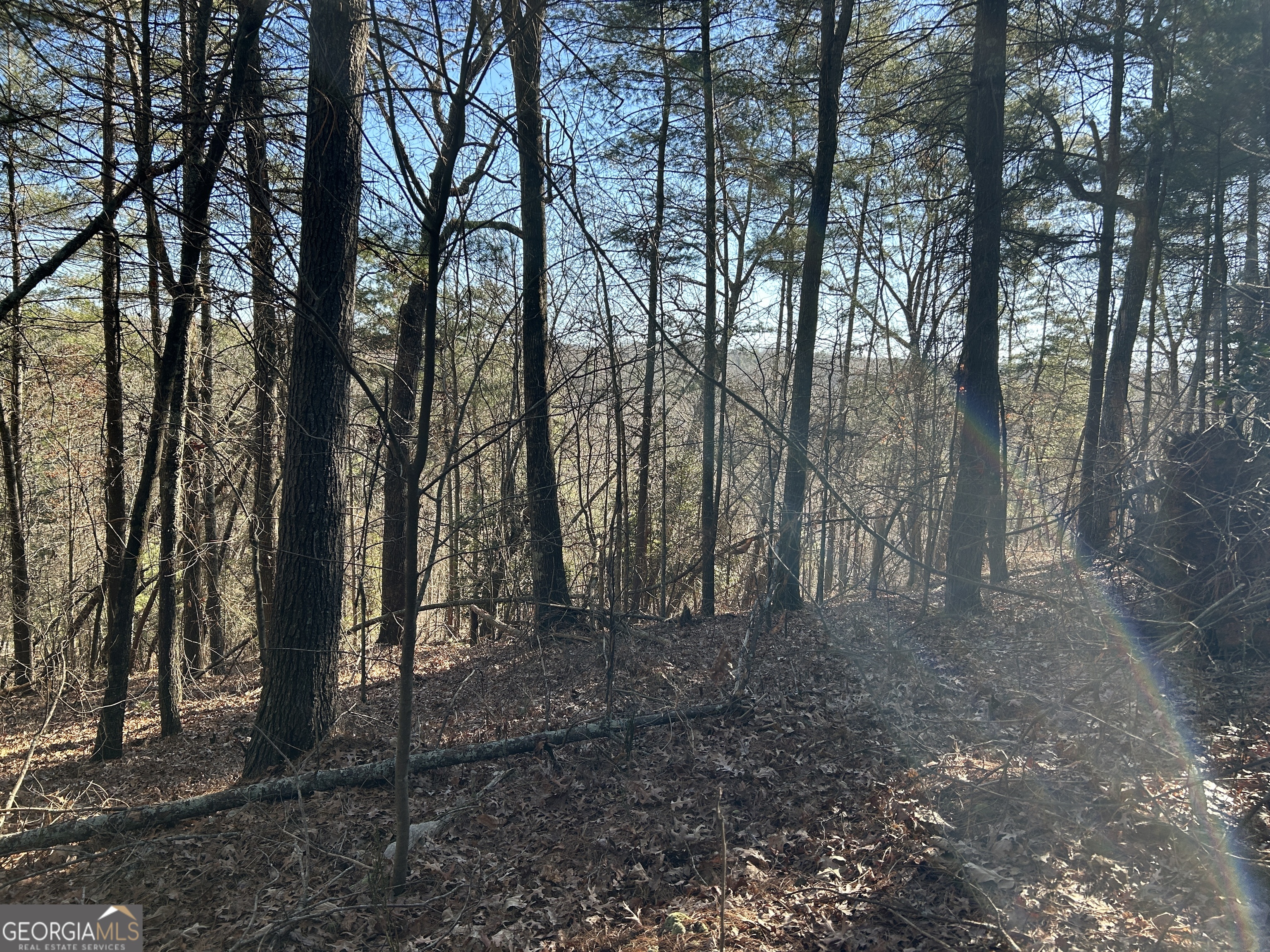 0 Twin River Orchard Road Demorest GA 30535