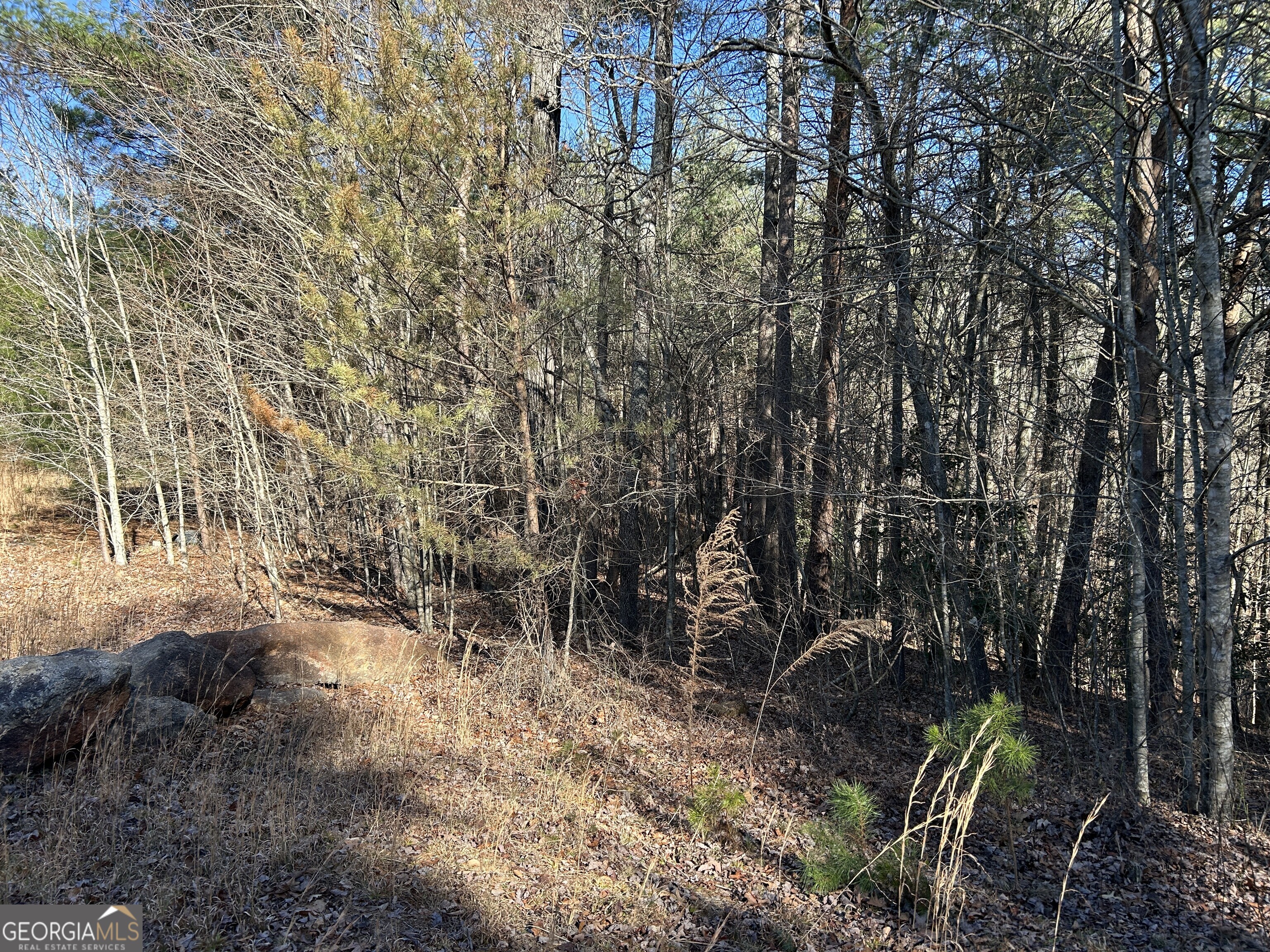 0 Twin River Orchard Road Demorest GA 30535