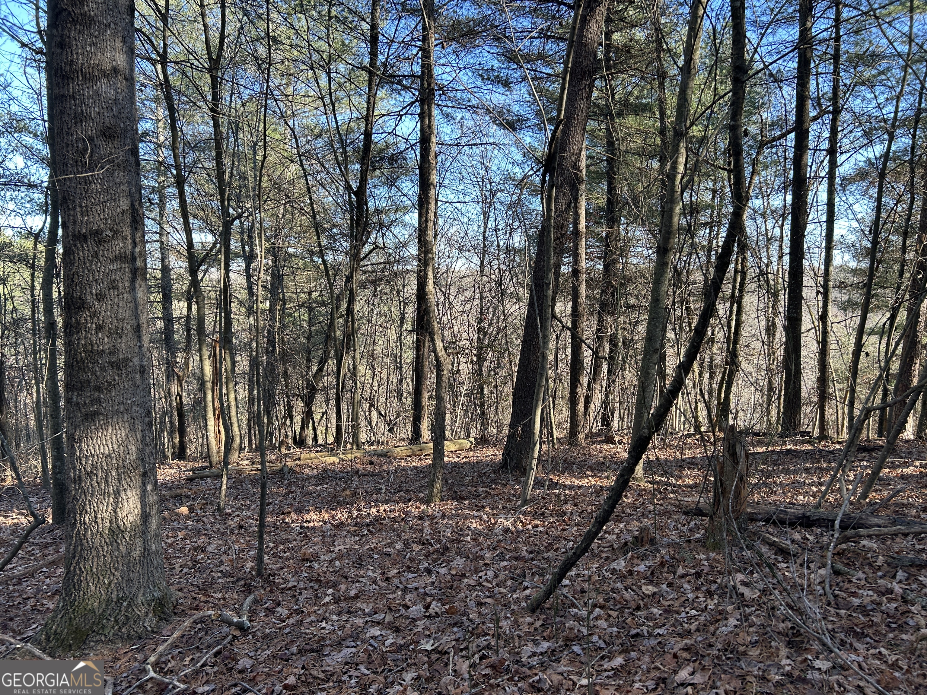 0 Twin River Orchard Road Demorest GA 30535
