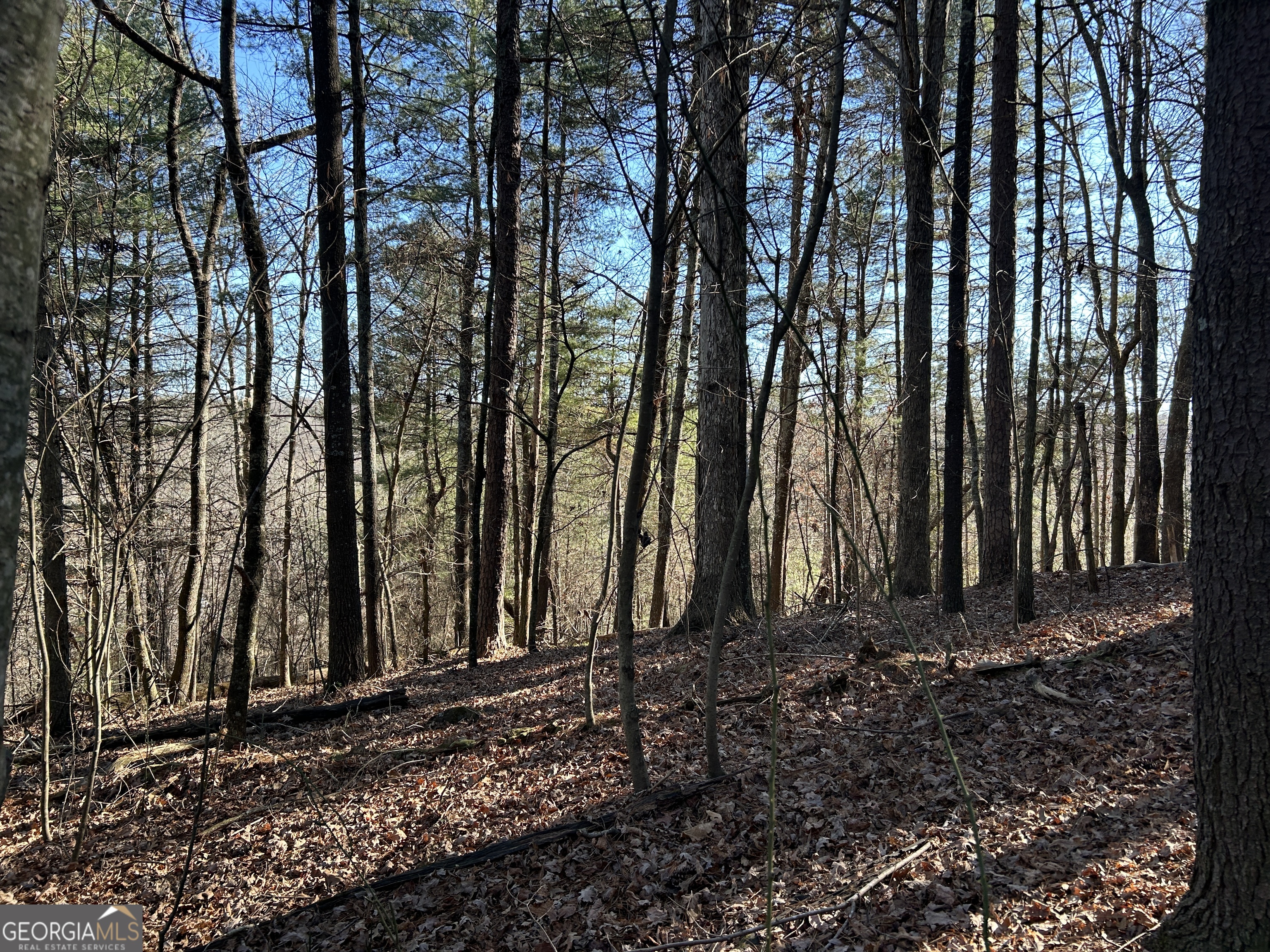 0 Twin River Orchard Road Demorest GA 30535
