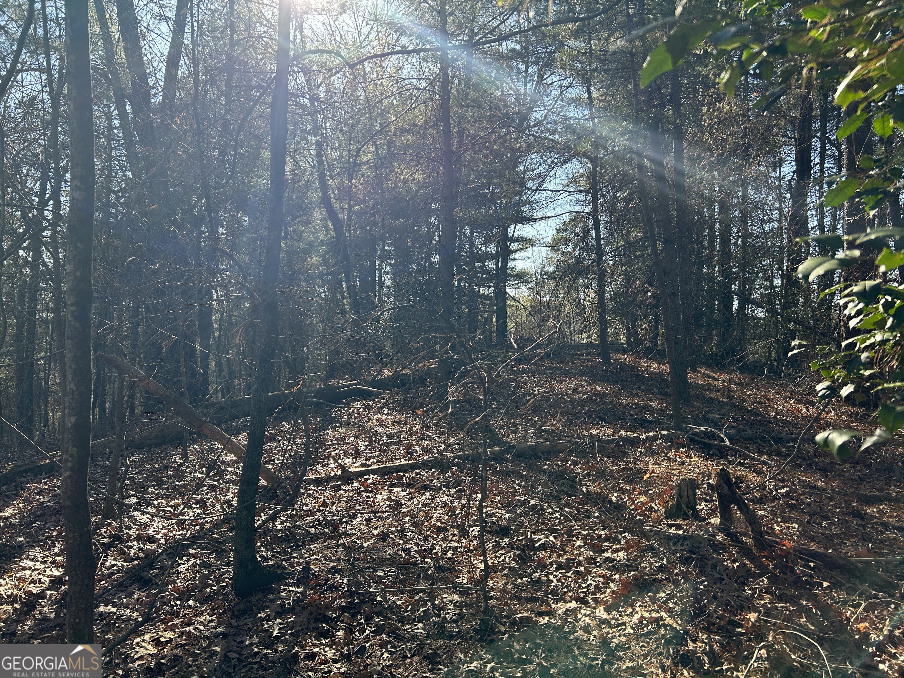 0 Twin River Orchard Road Demorest GA 30535
