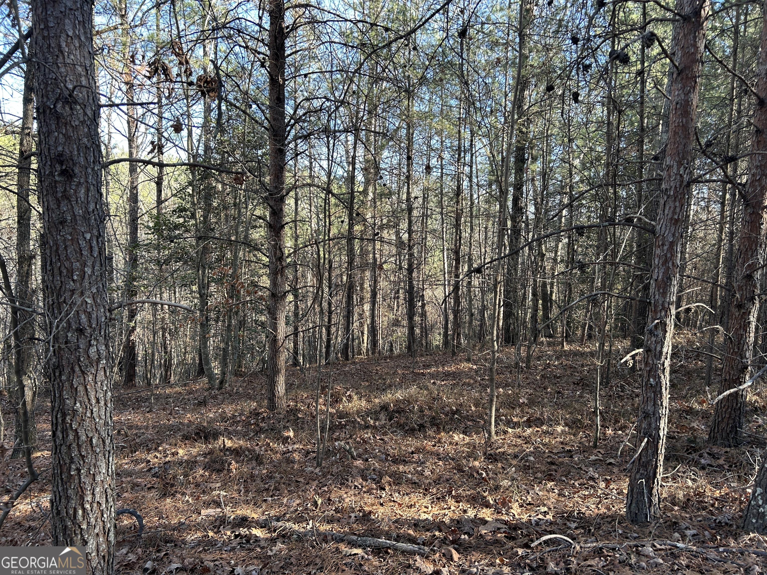 0 Twin River Orchard Road Demorest GA 30535