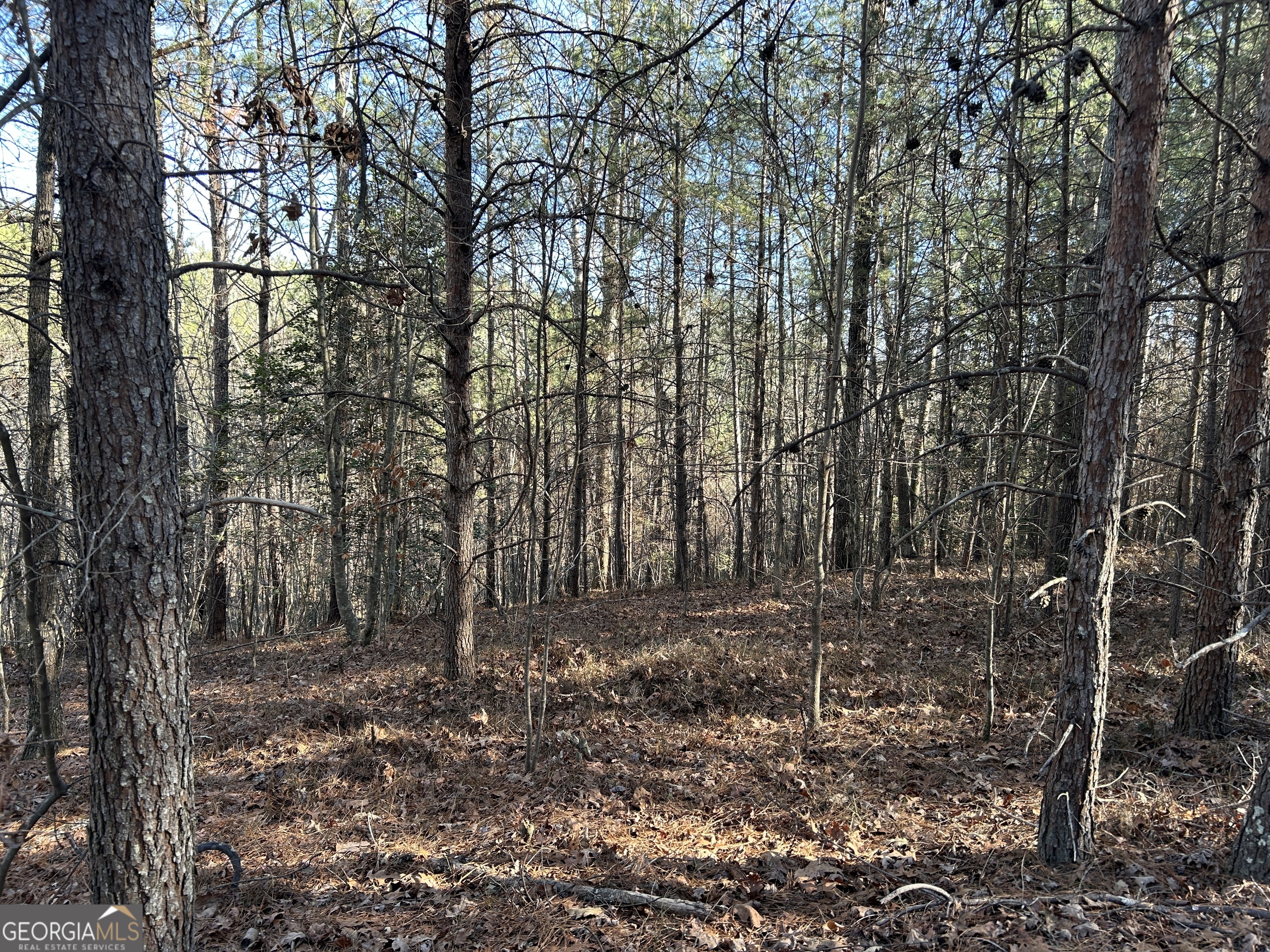 0 Twin River Orchard Road Demorest GA 30535
