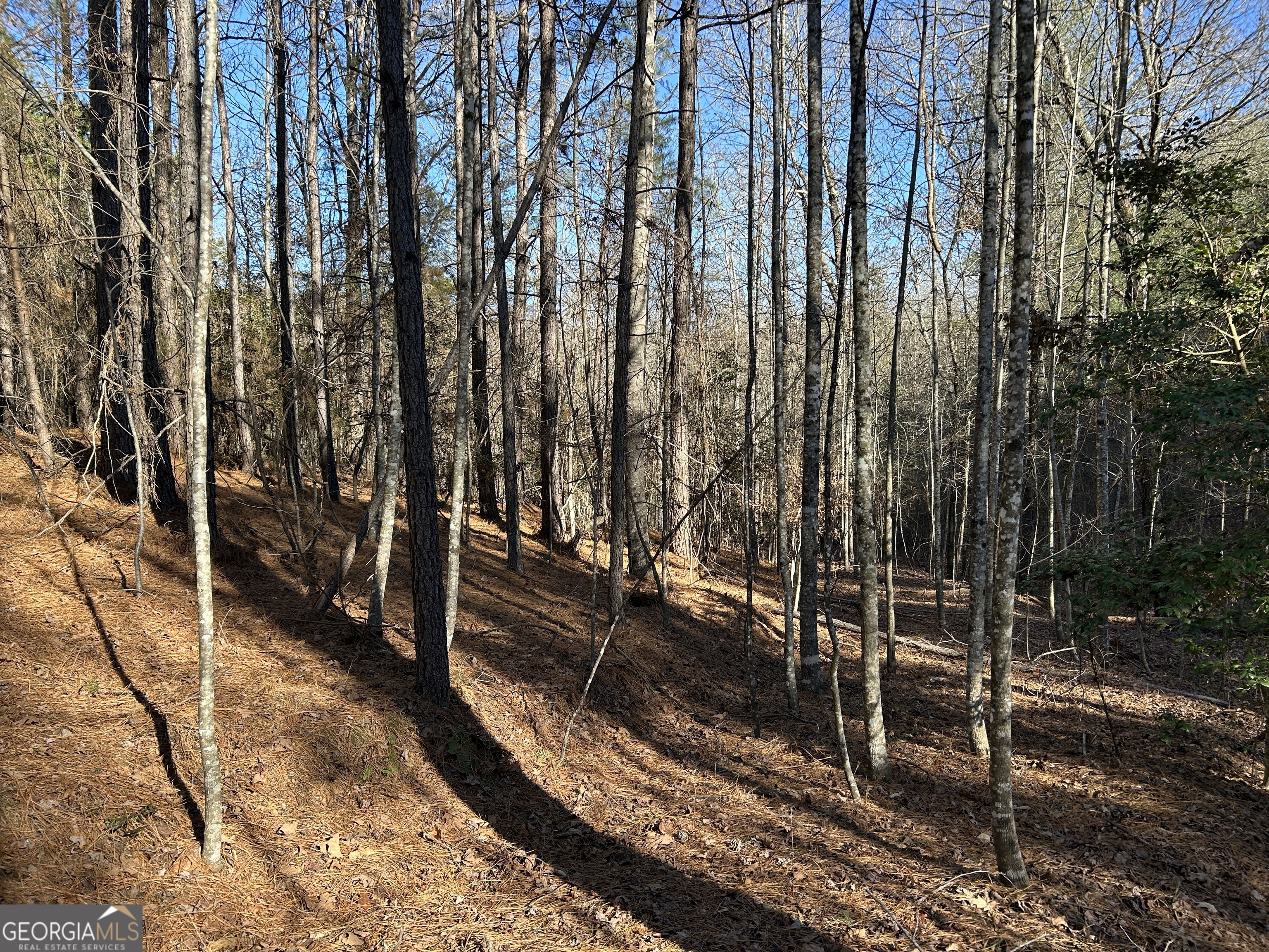 0 Twin River Orchard Road Demorest GA 30535