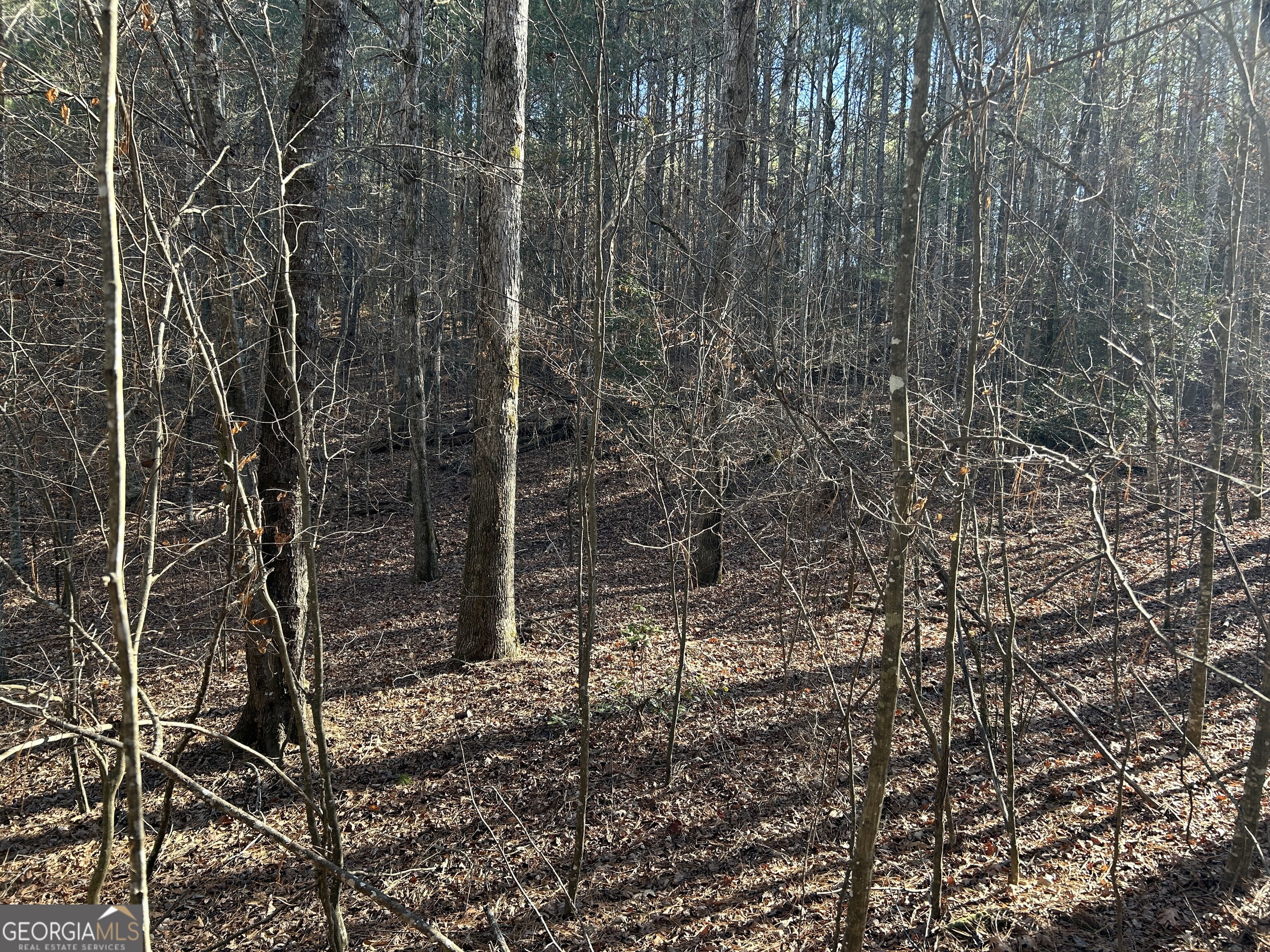 0 Twin River Orchard Road Demorest GA 30535