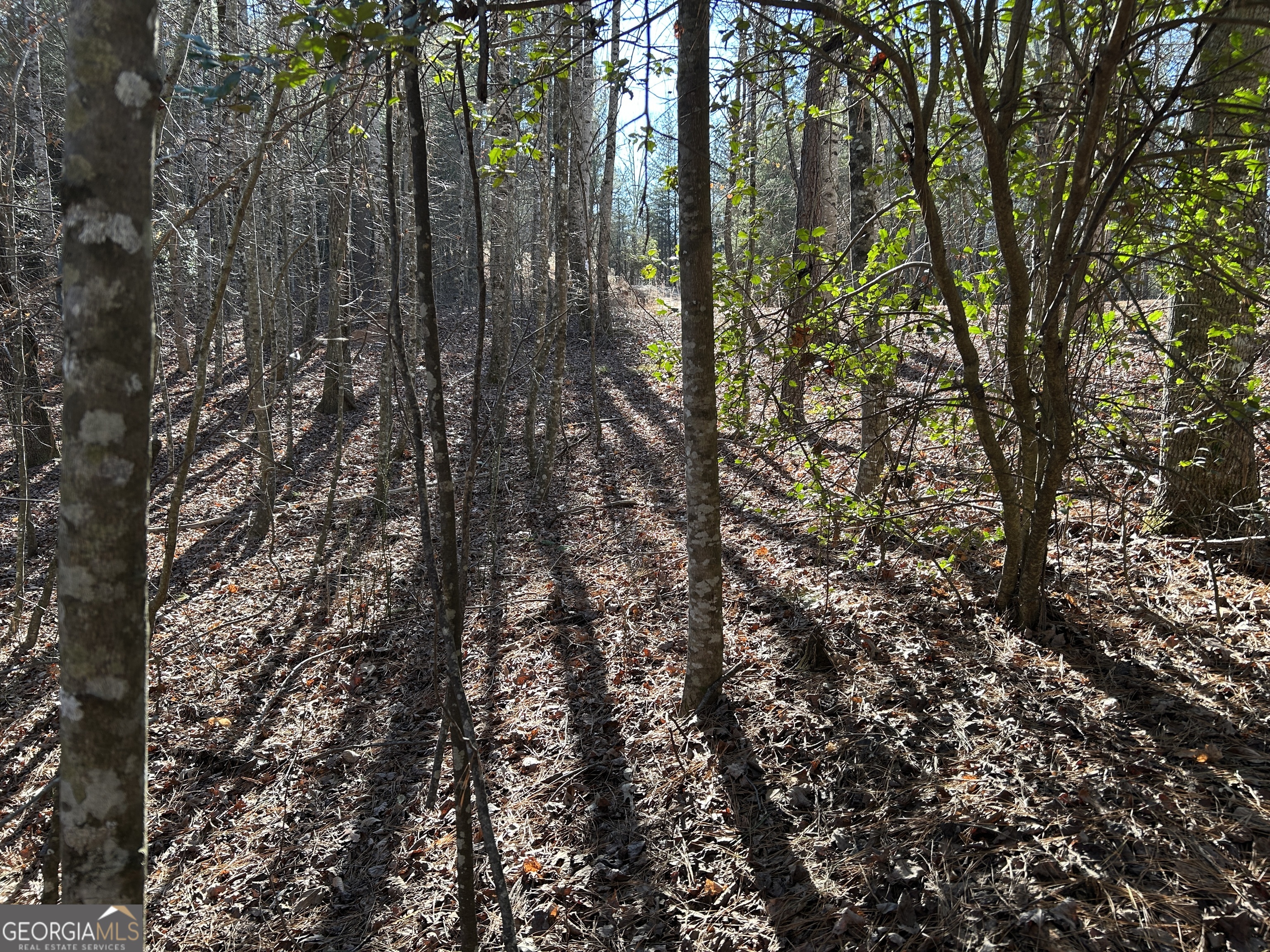 0 Twin River Orchard Road Demorest GA 30535
