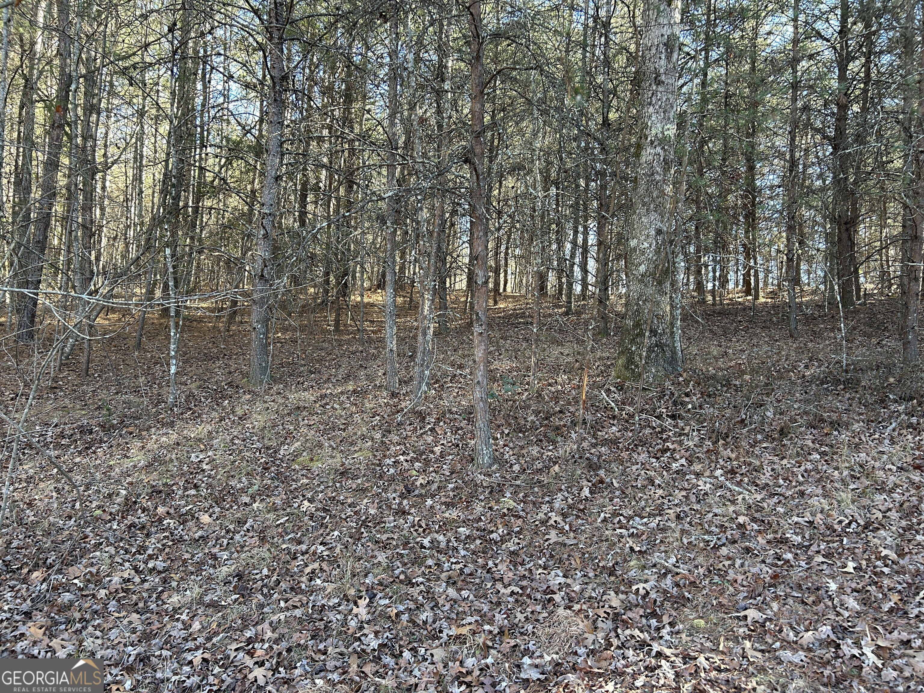 0 Twin River Orchard Road Demorest GA 30535