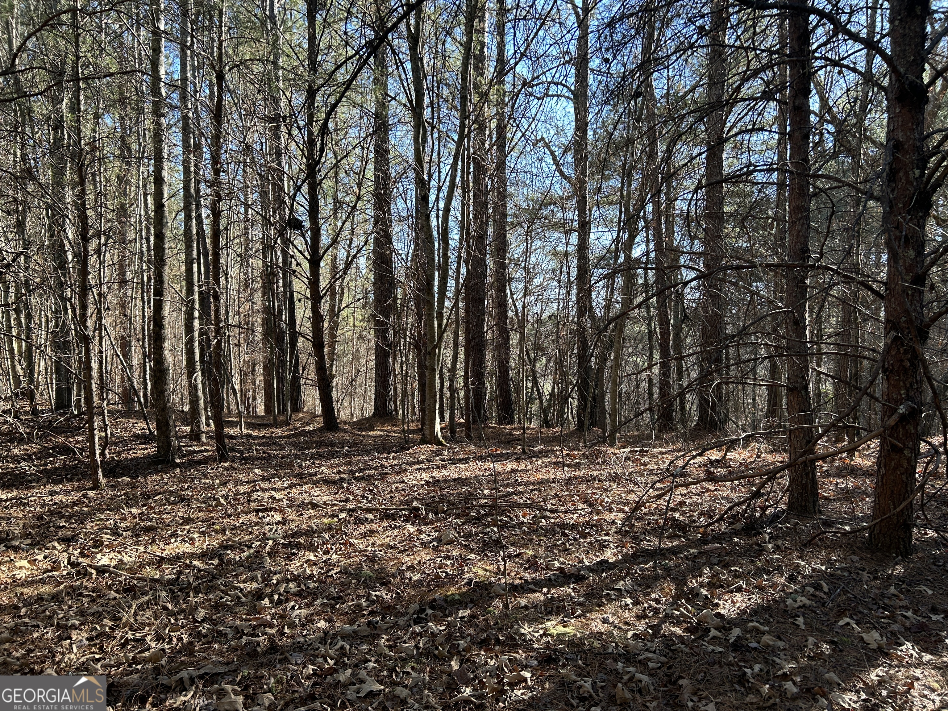 0 Twin River Orchard Road Demorest GA 30535
