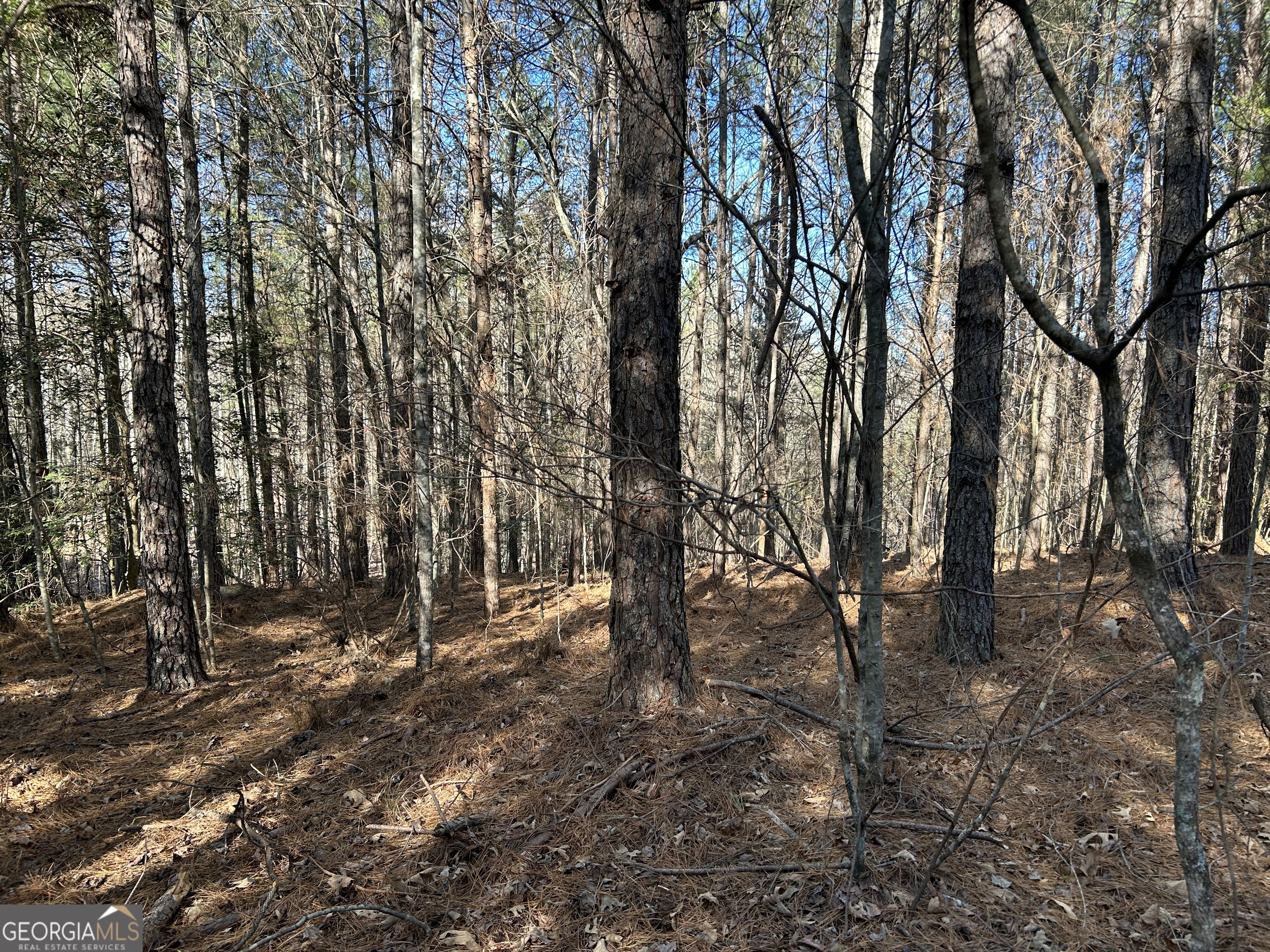 0 Twin River Orchard Road Demorest GA 30535