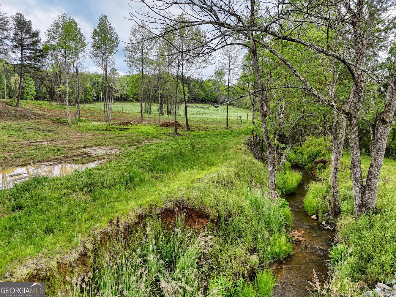 0 Shuler Road Blairsville GA 30512