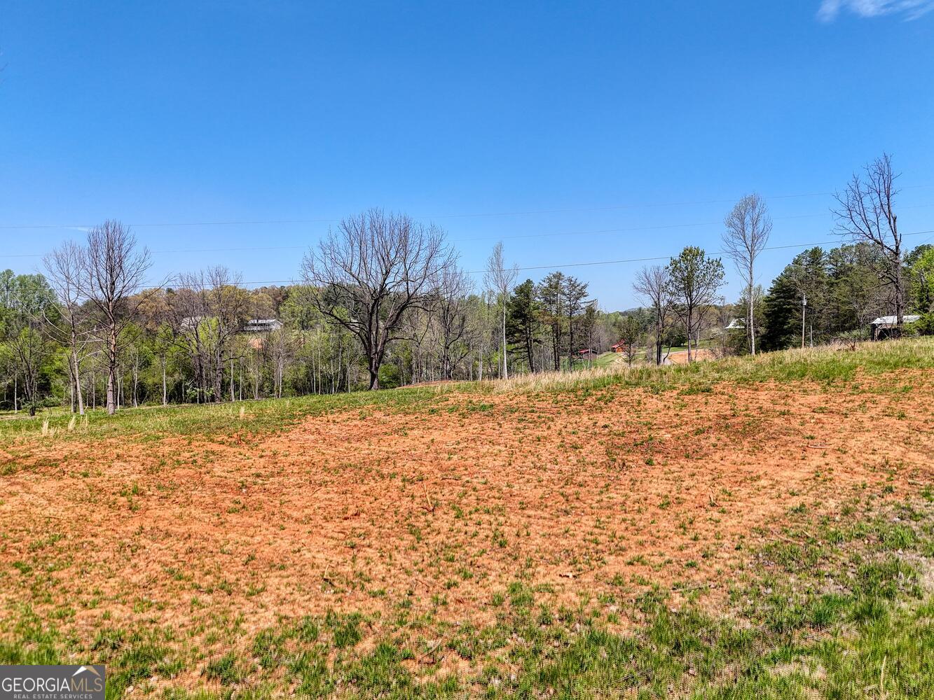 0 Shuler Road Blairsville GA 30512