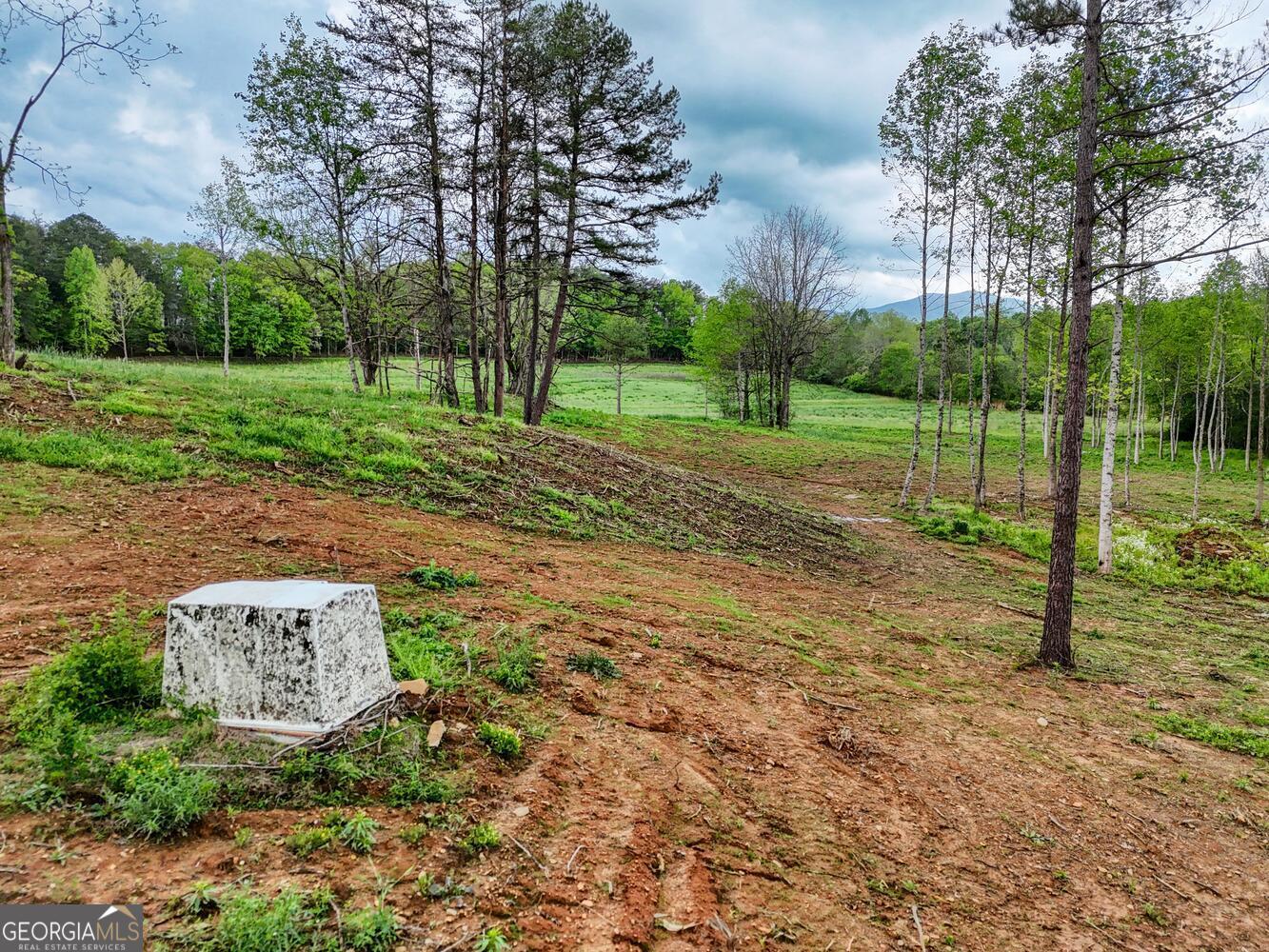 0 Shuler Road Blairsville GA 30512