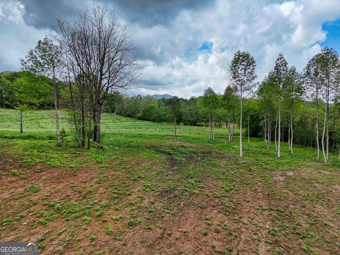 0 Shuler Road Blairsville GA 30512