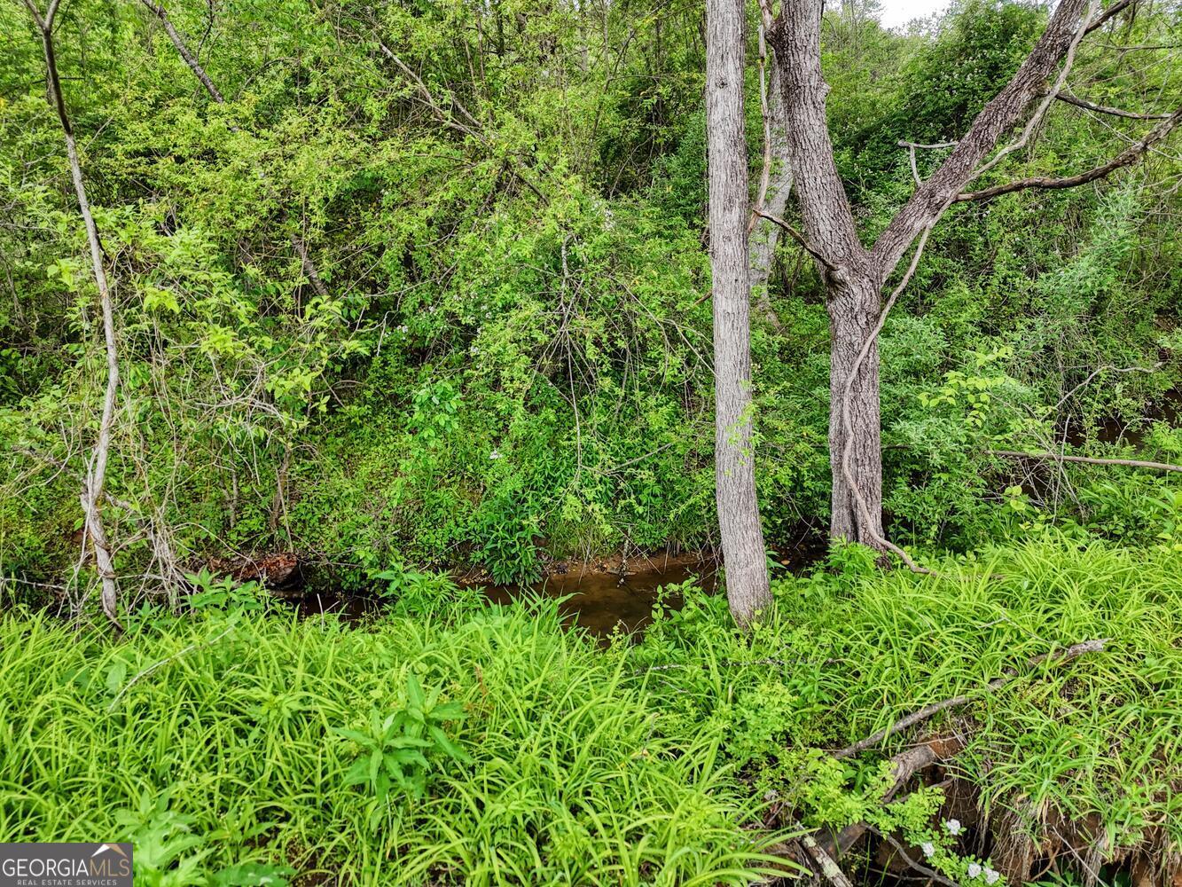 0 Shuler Road Blairsville GA 30512