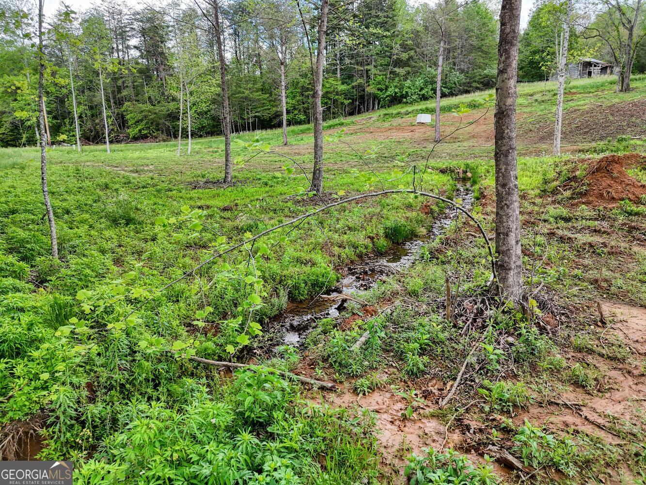 0 Shuler Road Blairsville GA 30512