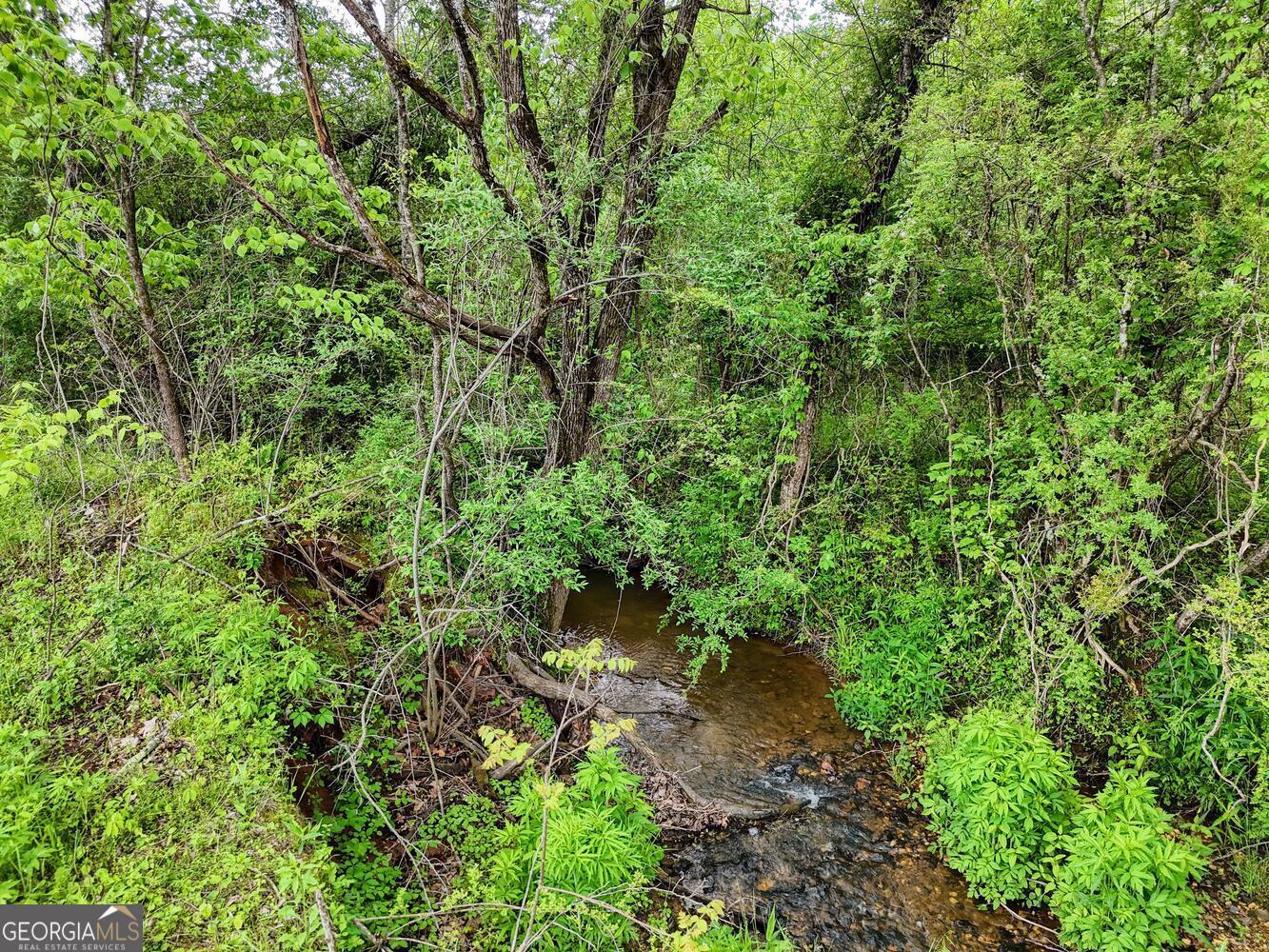 0 Shuler Road Blairsville GA 30512