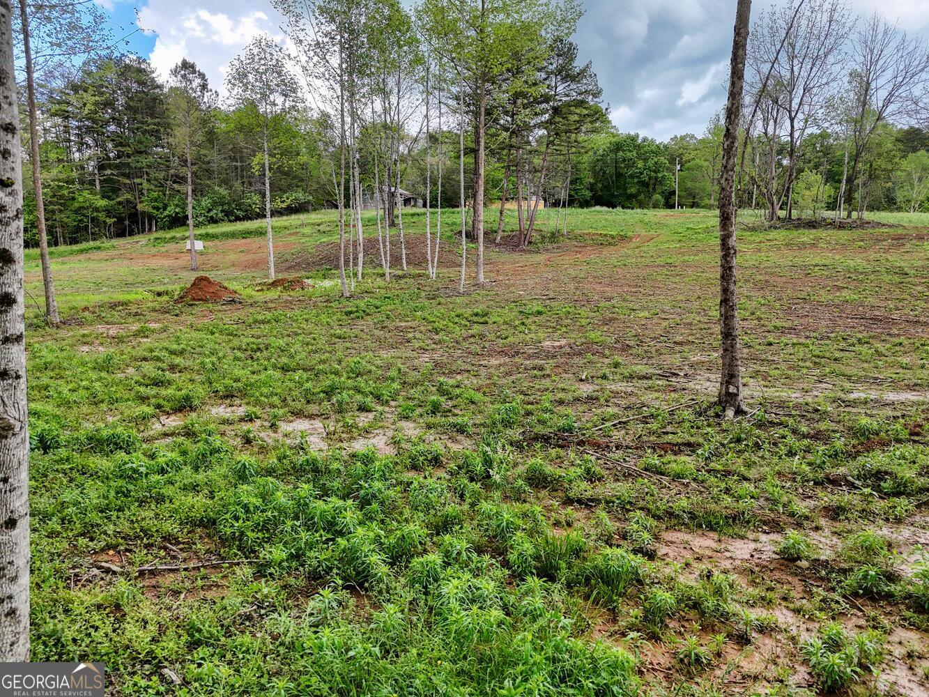 0 Shuler Road Blairsville GA 30512