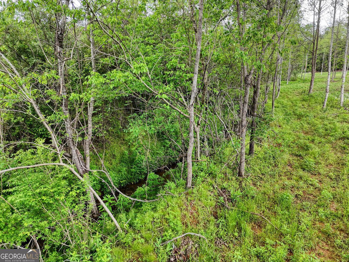 0 Shuler Road Blairsville GA 30512