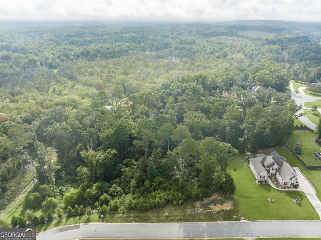 1063 Chattahoochee Drive Bonaire GA 31005