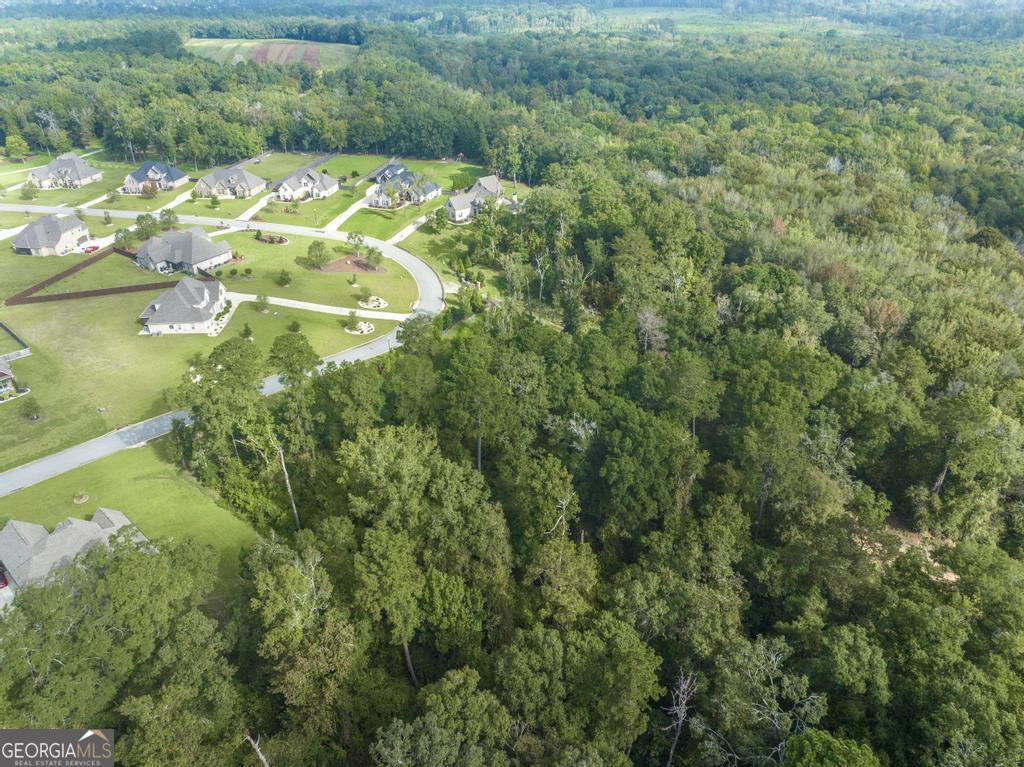 1063 Chattahoochee Drive Bonaire GA 31005