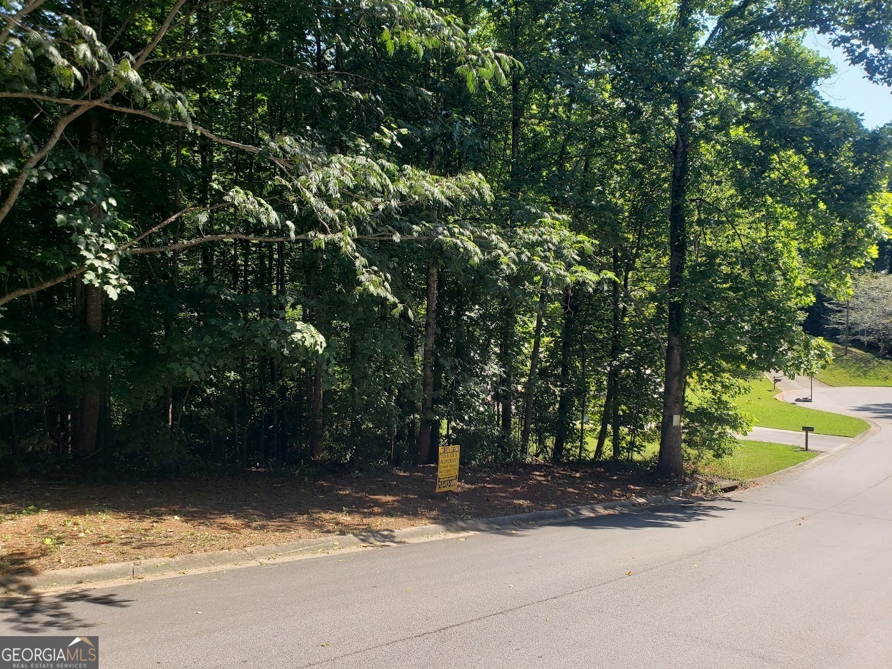373 Farm Brook Lane Dallas GA 30157