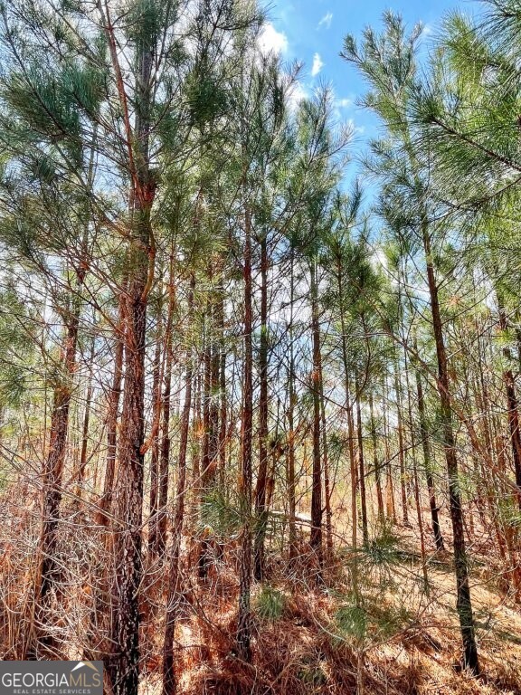 0 Brinkley Road Barnesville GA 30204