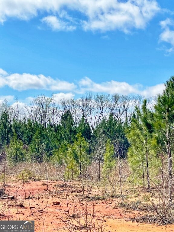 0 Brinkley Road Barnesville GA 30204