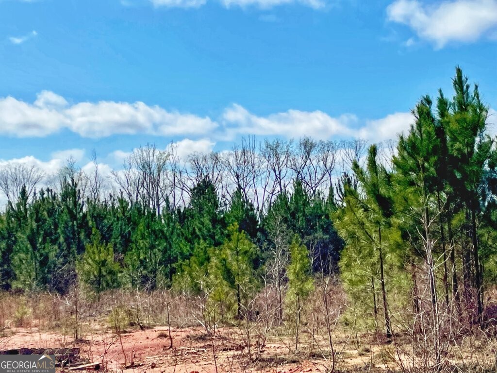 0 Brinkley Road Barnesville GA 30204