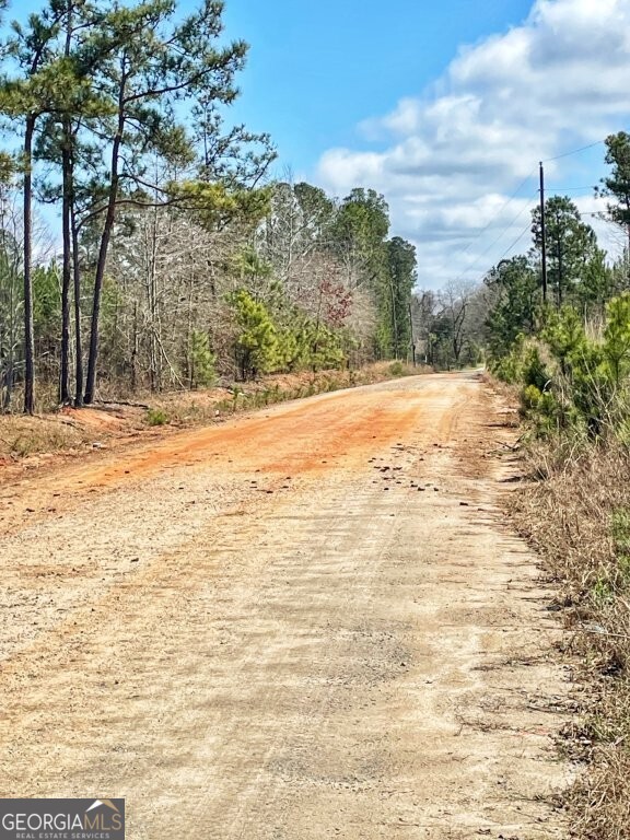 0 Brinkley Road Barnesville GA 30204